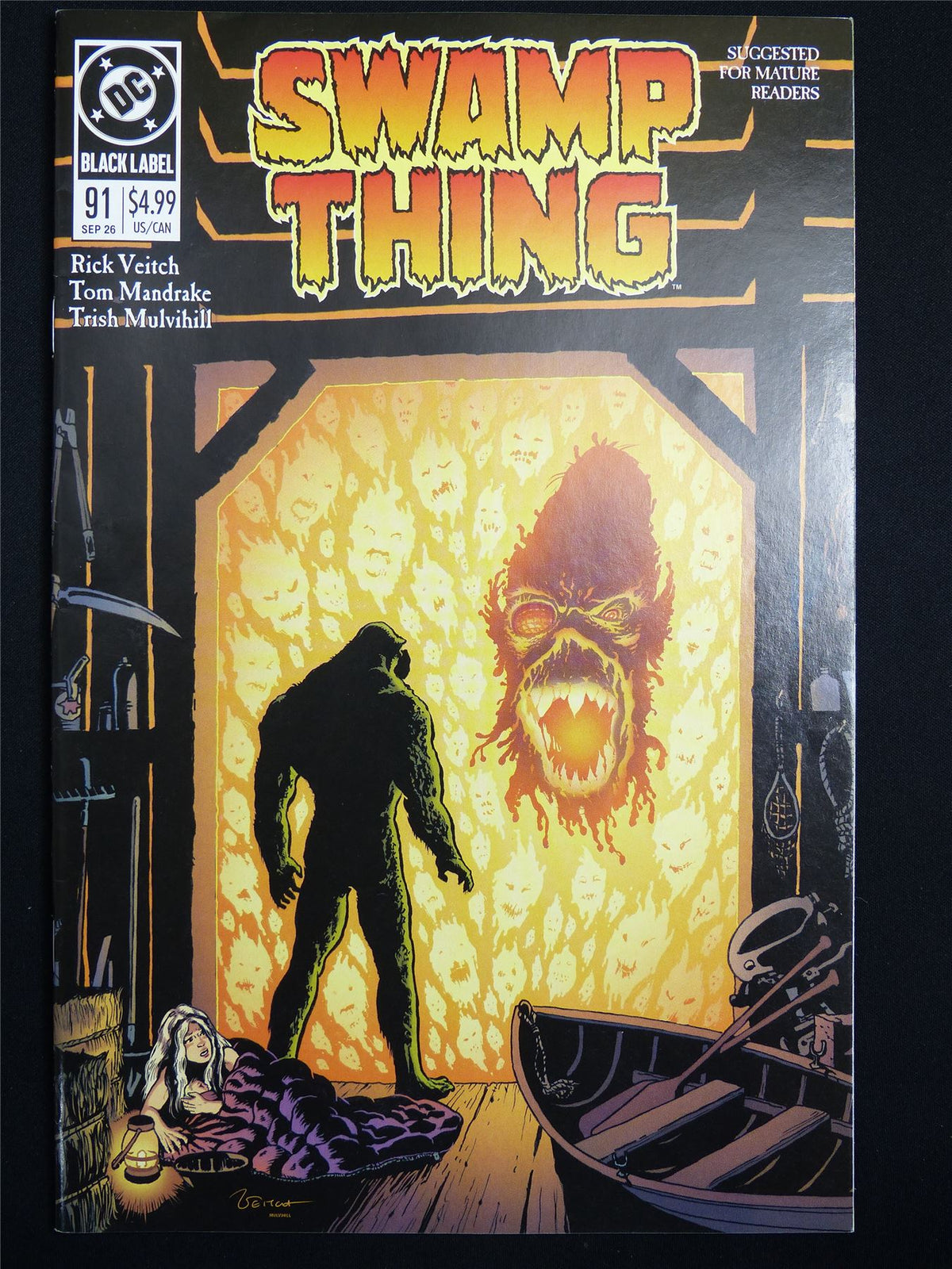 SWAMP Thing #91 Cvr A - DC Comic #376