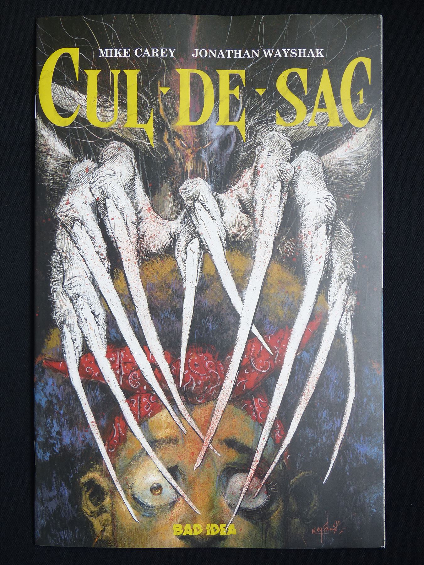 CUL-DE-SAC #1 - Aug 2025 Bad Idea Comic #2MF