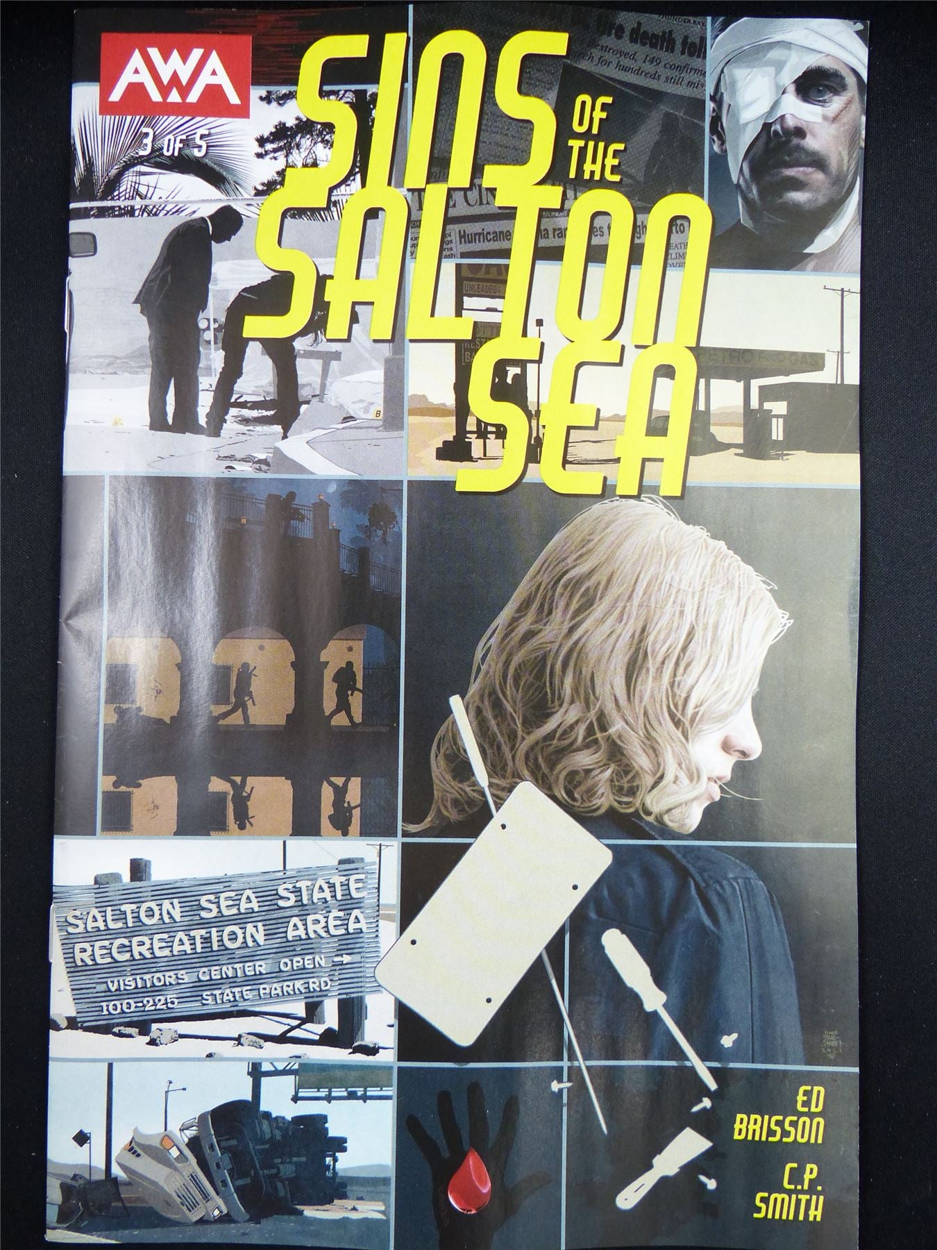 SINS of the Salton Sea #3 - Aug 2023 AWA Comic #2W5