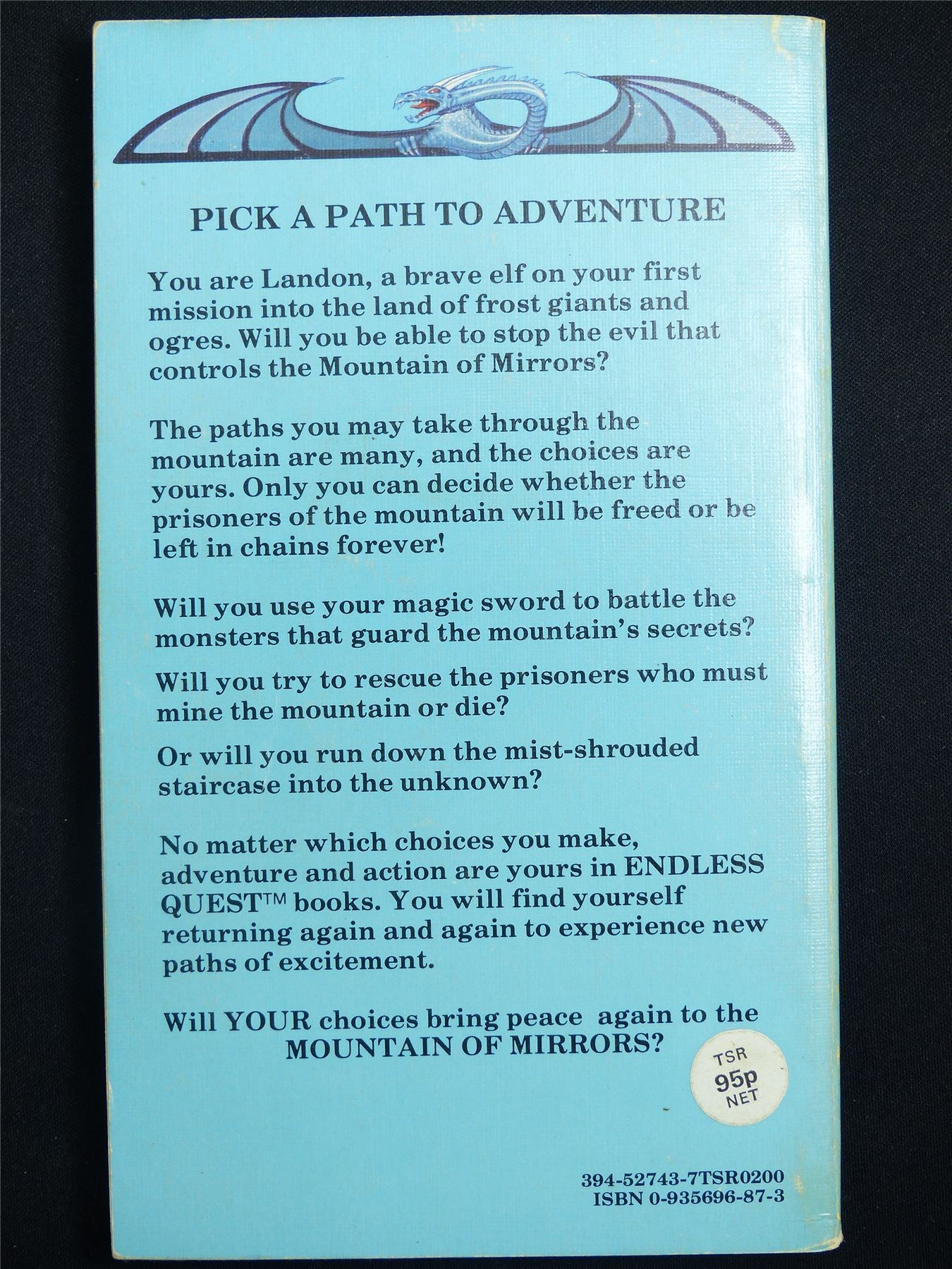 D&D Adventure Book: Mountain of Mirrors Endless Quest - Vintage Novel Softback #LZ
