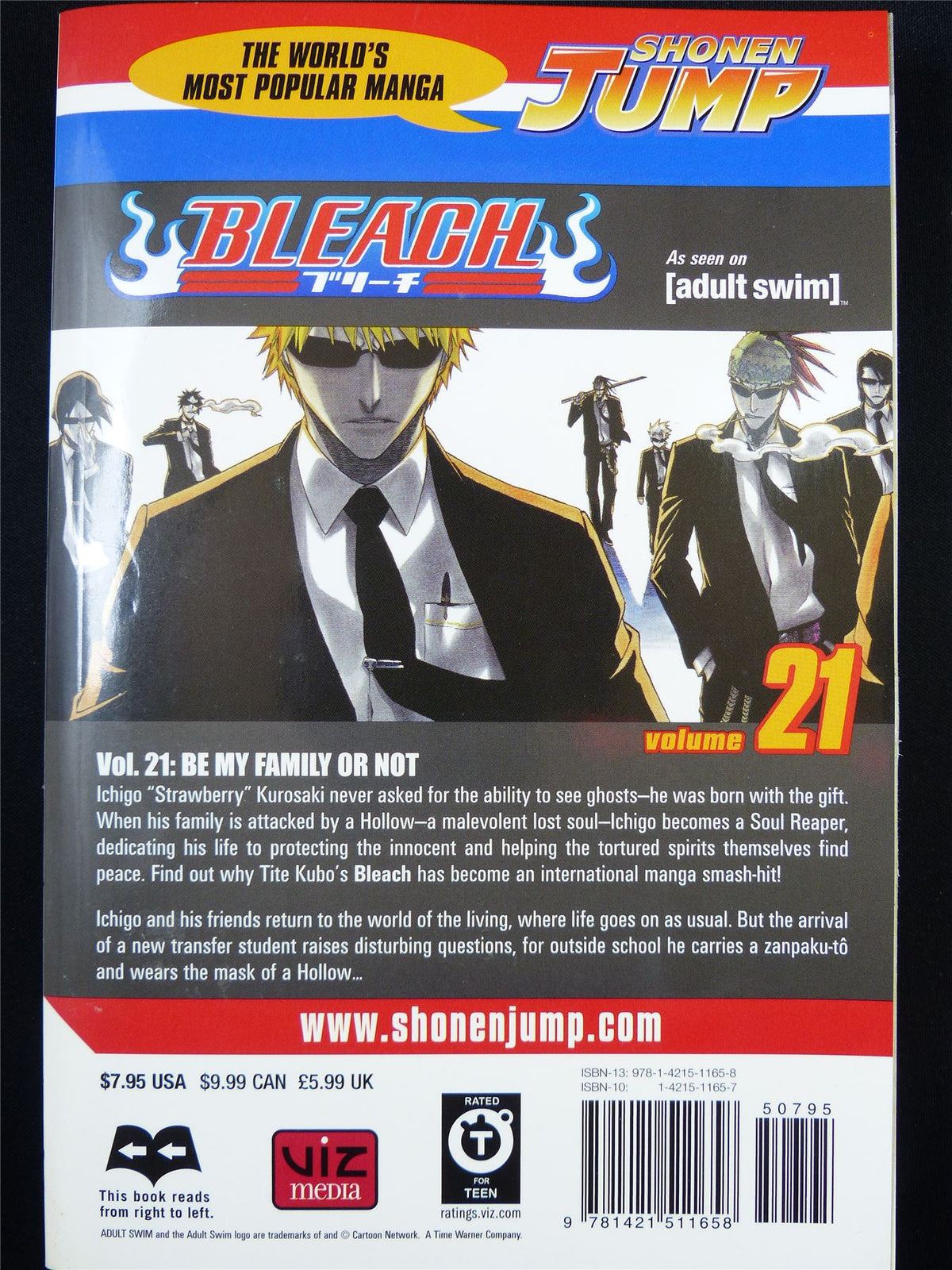 BLEACH Volume 21 - Shonen Jump Viz Manga #3IV