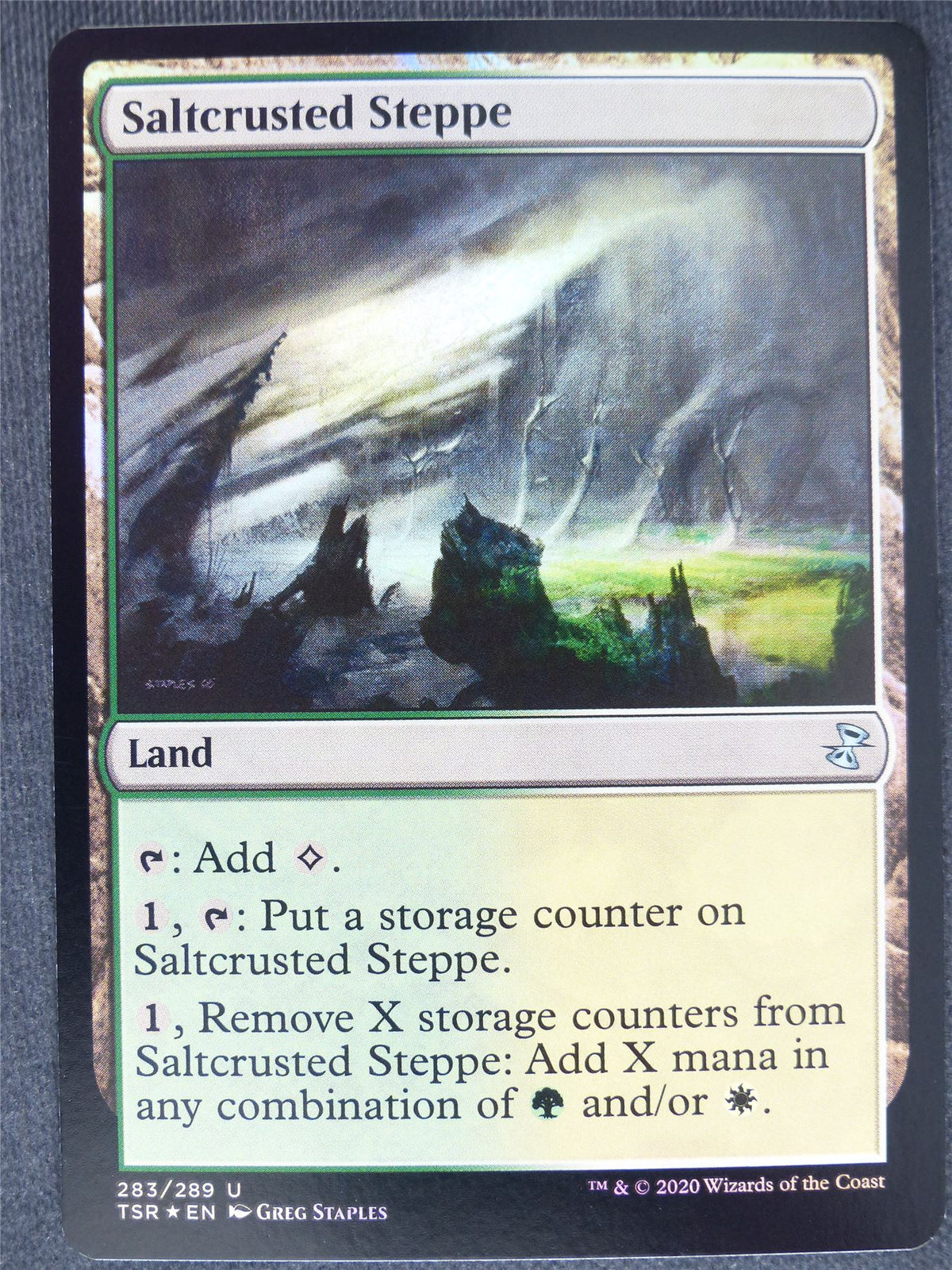 Saltcrusted Steppe Foil - Remastered - Mtg Magic Cards #QF