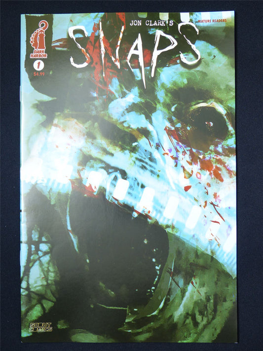SNAPS #1 - B&B Nov 2024 Dark Harbor Comic #4NT