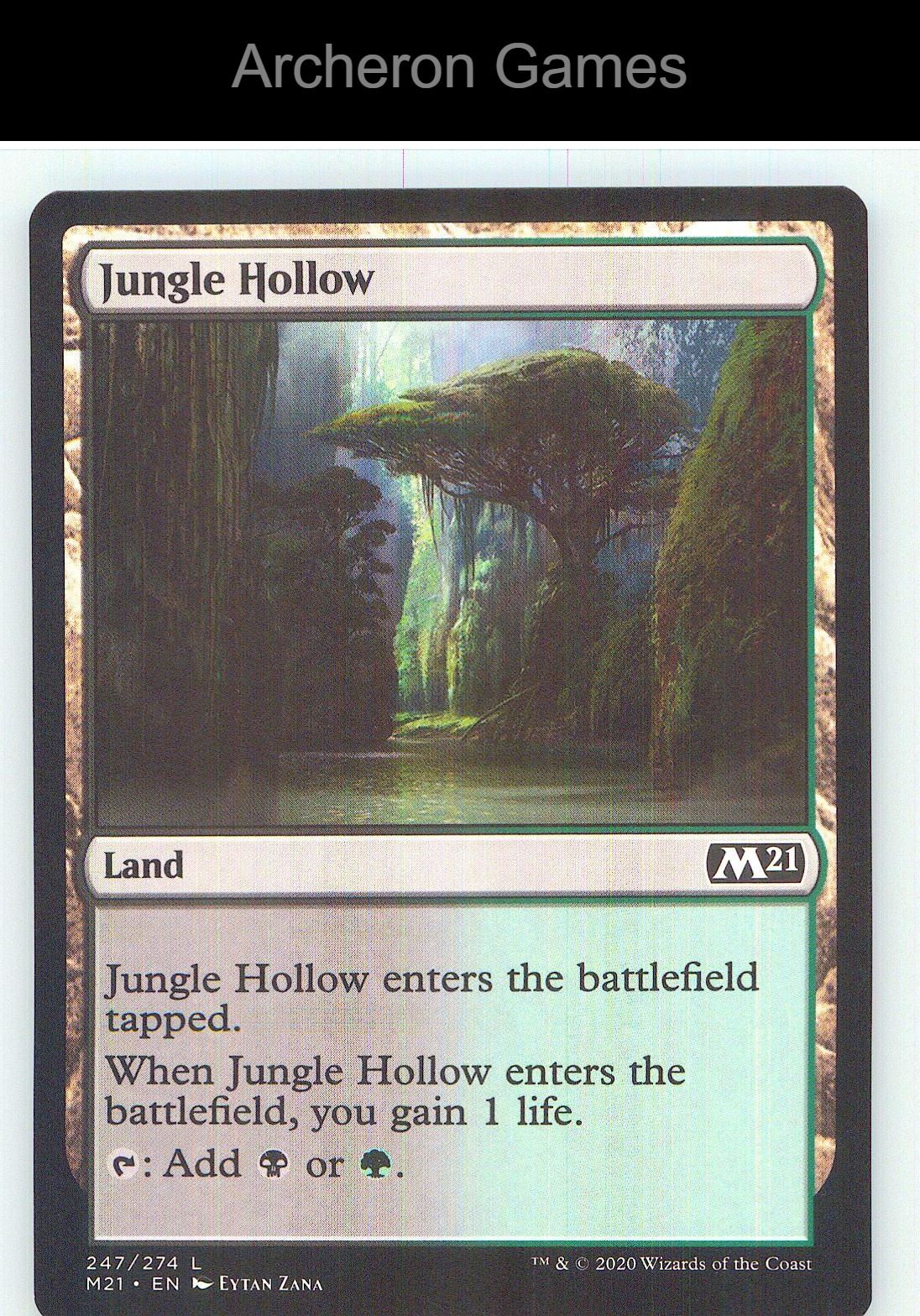 Jungle Hollow M21 247 Land MTG Card NM/EX+
