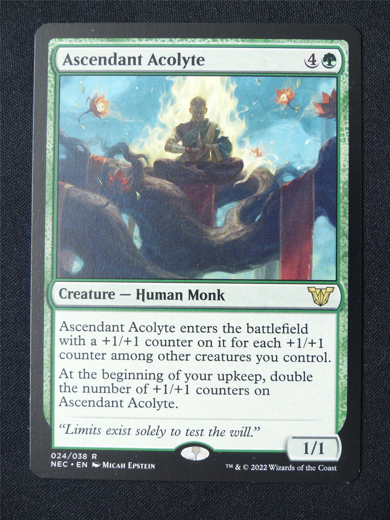 Ascendant Acolyte - NEC - Mtg Card #O8