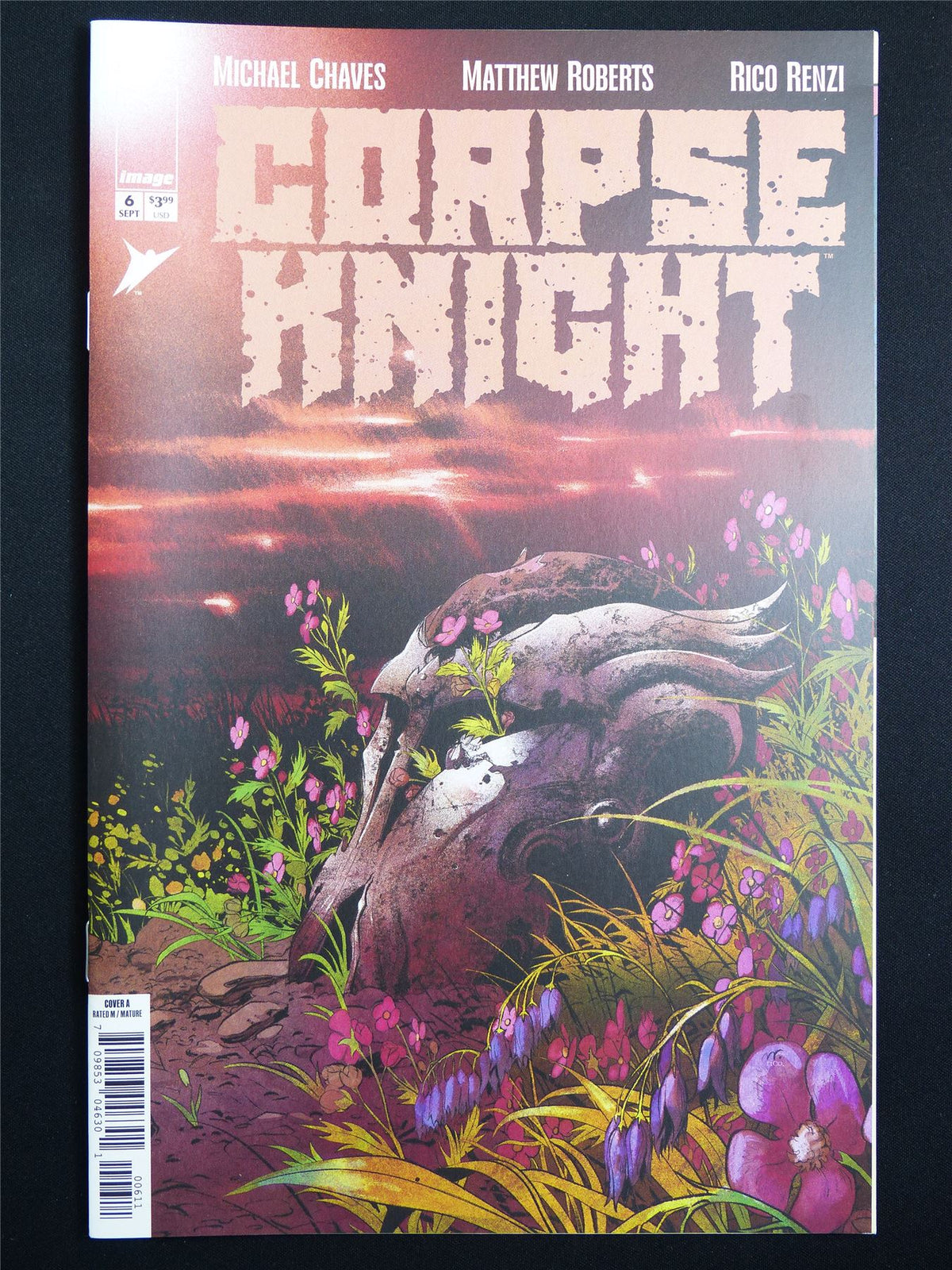 CORPSE Knight #6 Cvr A - Image Comic #4PD
