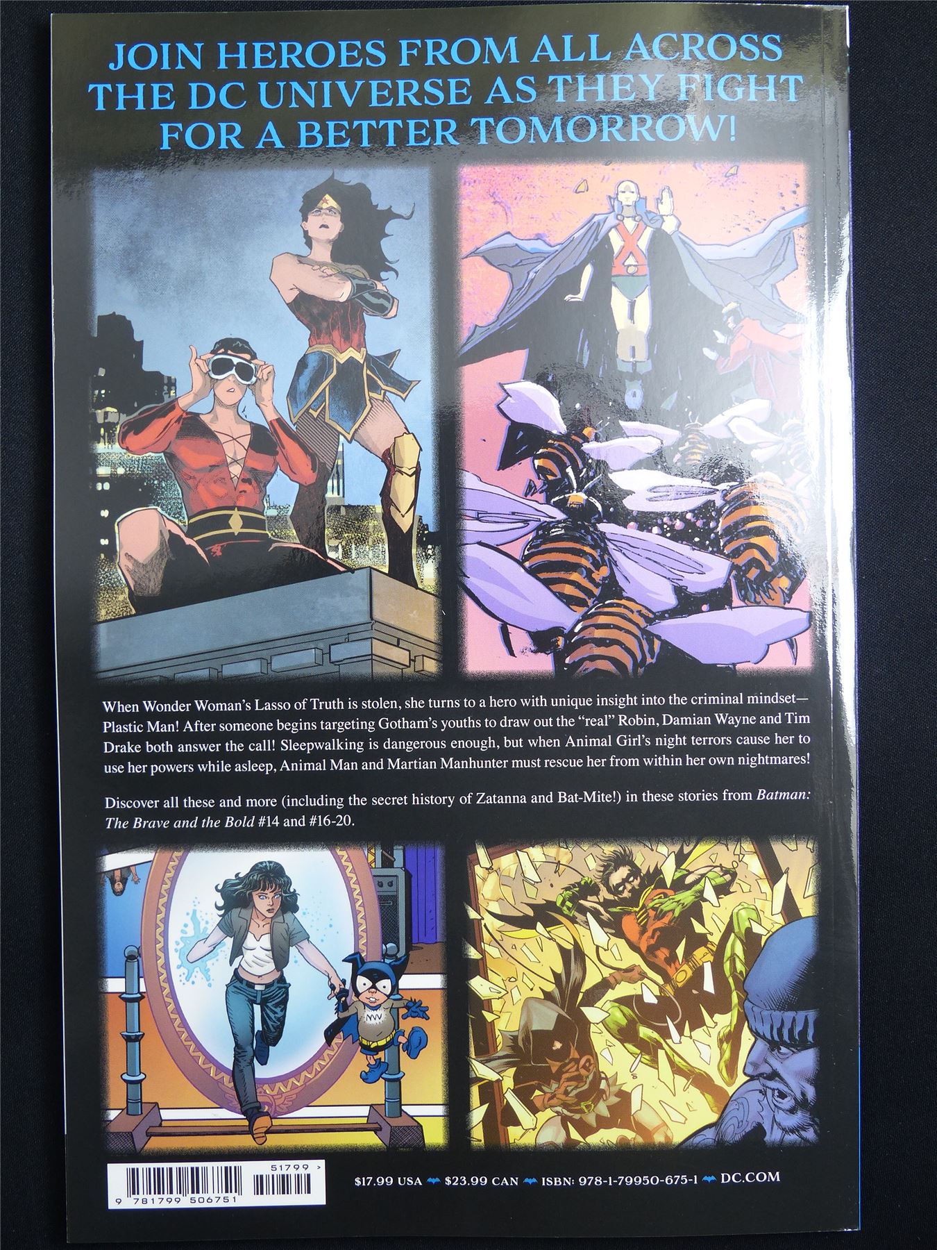 Batman: The Brave and the Bold: Tomorrow's Heroes - DC Graphic Softback #4TW