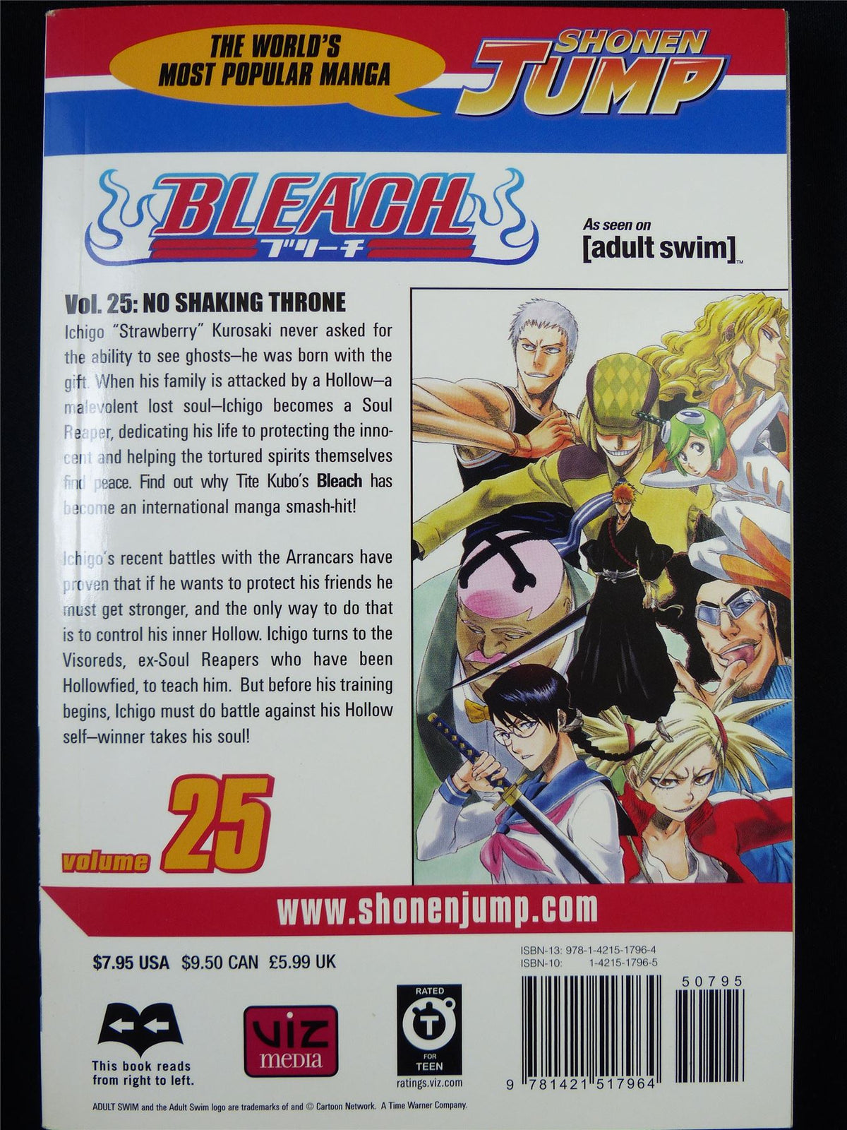 BLEACH Volume 25 - Shonen Jump Viz Manga #3IZ