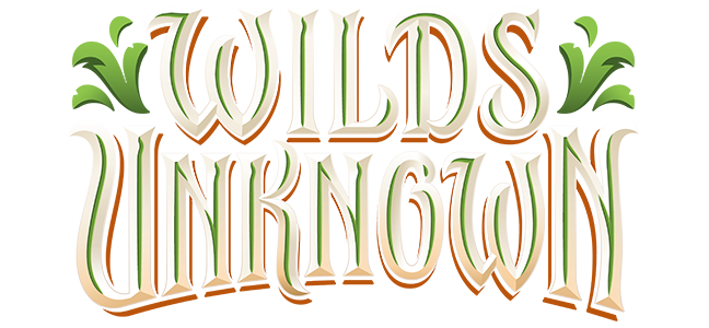 Lorcanna Wilds Unknown Pre-Release 10/05/2026 11am - event ticket