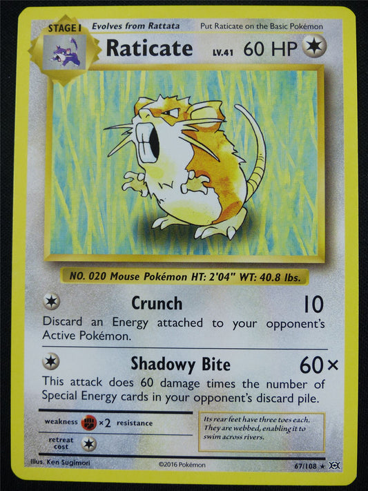 Raticate 67/108 Evolutions - Pokemon Card #4F6