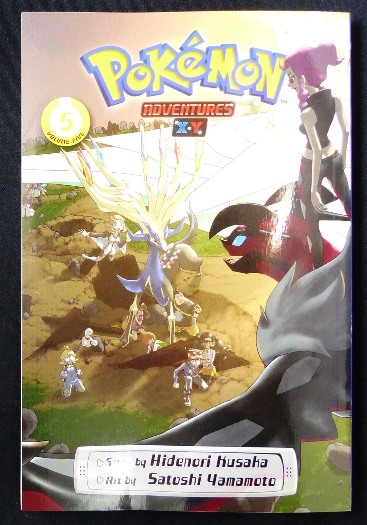 Pokemon XY Manga Volume 1