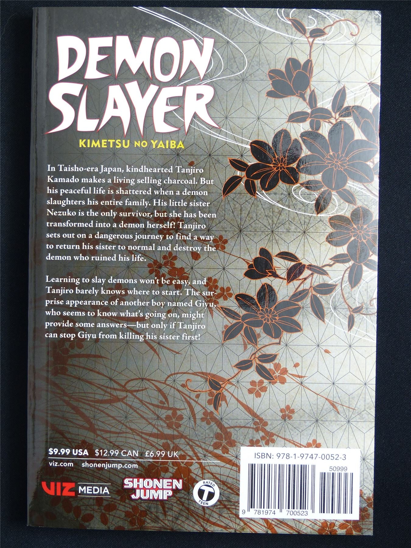 Demon Slayer: Kimetsu no Yaiba volume 1 - Viz Manga #542