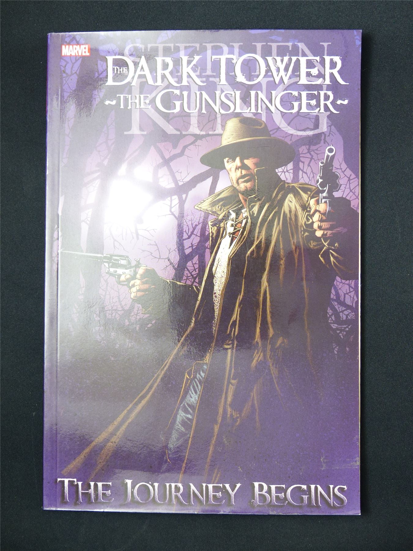 The Dark Tower: The Gunslinger the Journey Begins - Marvel Graphic Softback #2FC