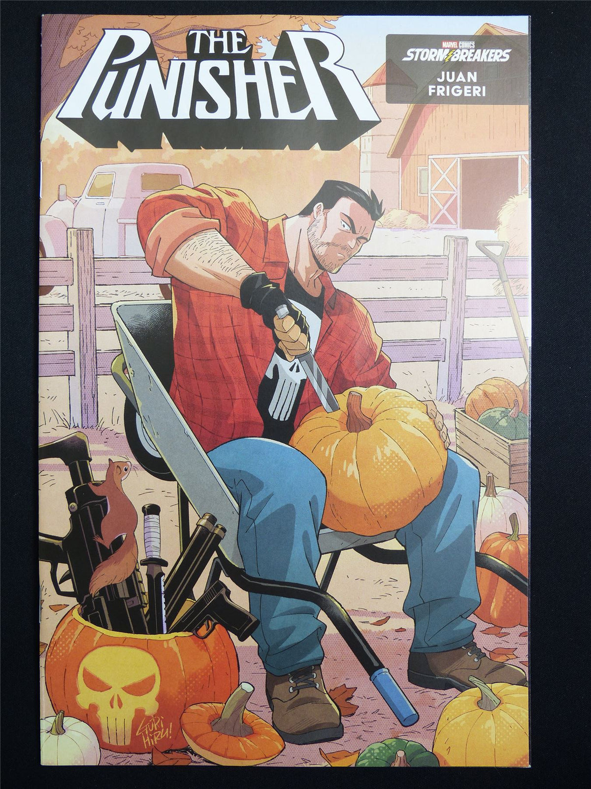 The PUNISHER #8 Cvr D - Marvel Comic #4ES