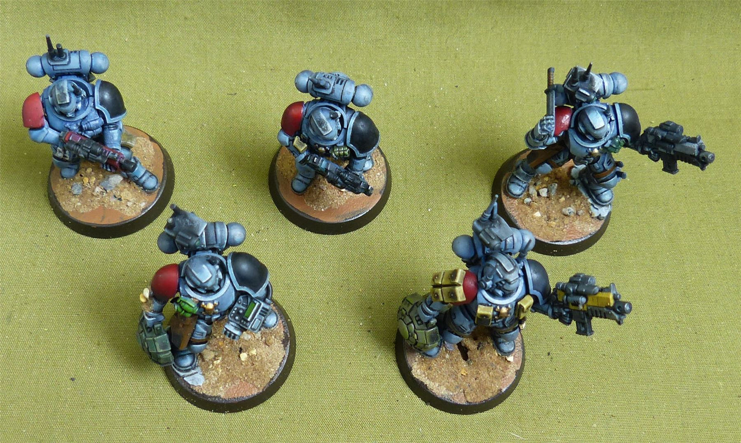 Intercessor Squad set of 5 painted - Space Wolves - Warhammer 40K #5C2