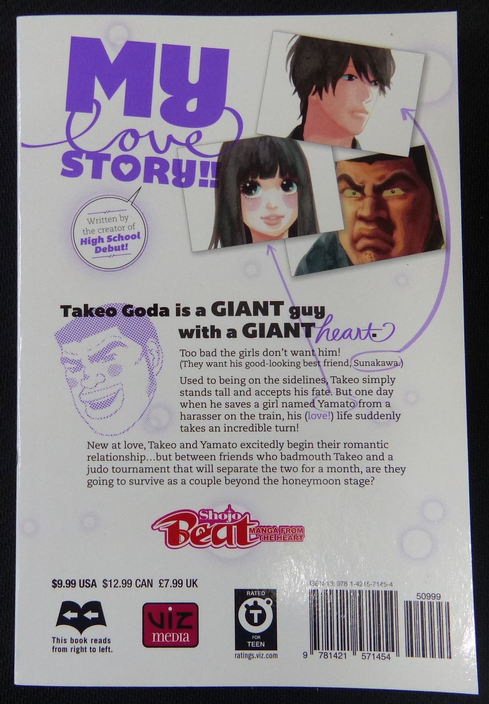 My Love Story Vol 2 - Manga Softback Novel #22T