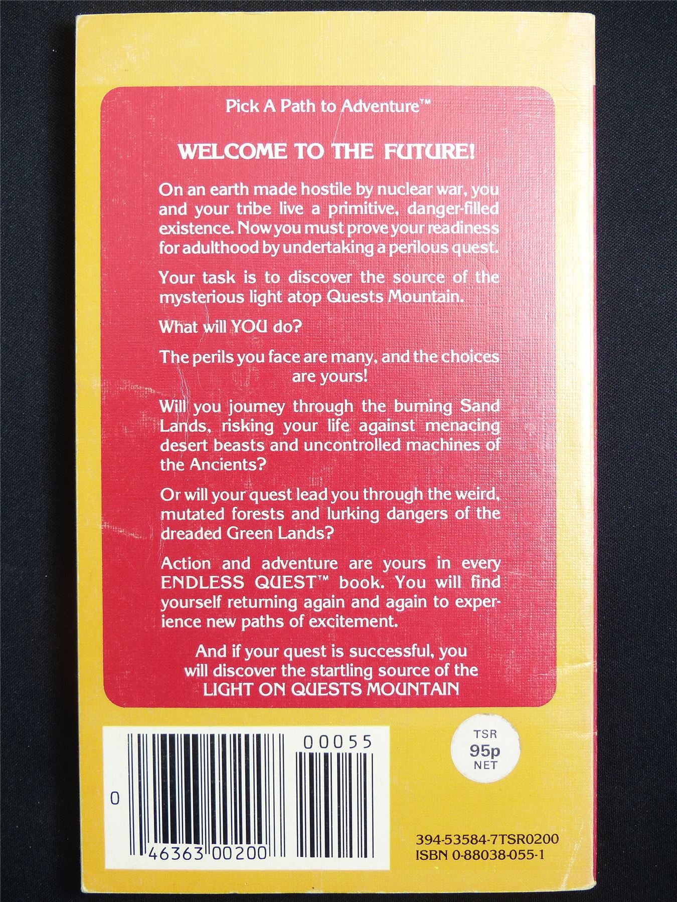 D&D Adventure Book: Light on Quests Mountain Endless Quest - Vintage Novel Softback #LV