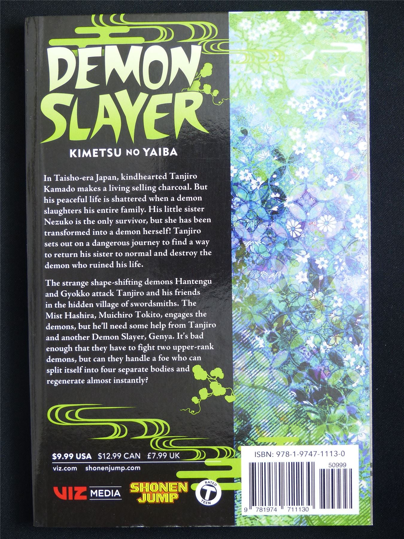 Demon Slayer: Kimetsu no Yaiba volume 13 - Viz Manga #54E