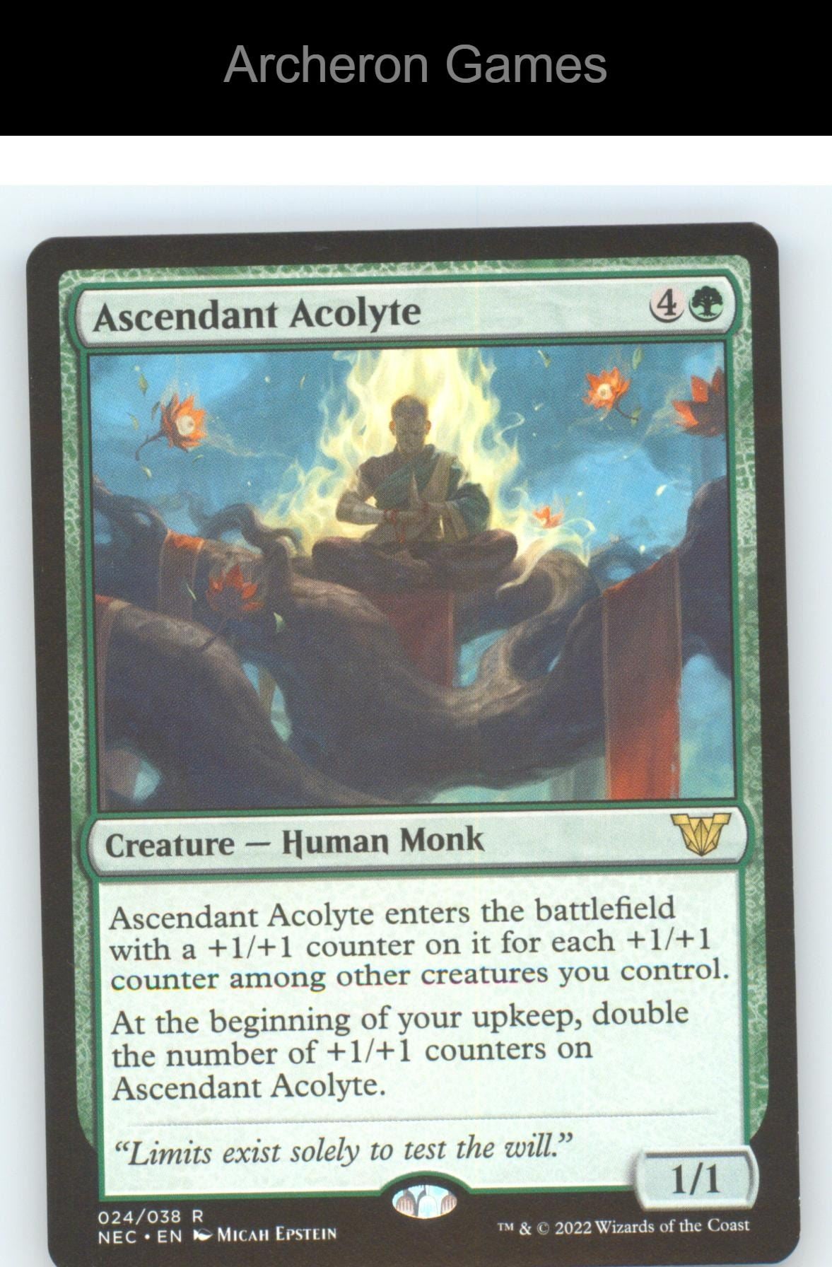Ascendant Acolyte NEC 24 R MTG Card NM/EX+
