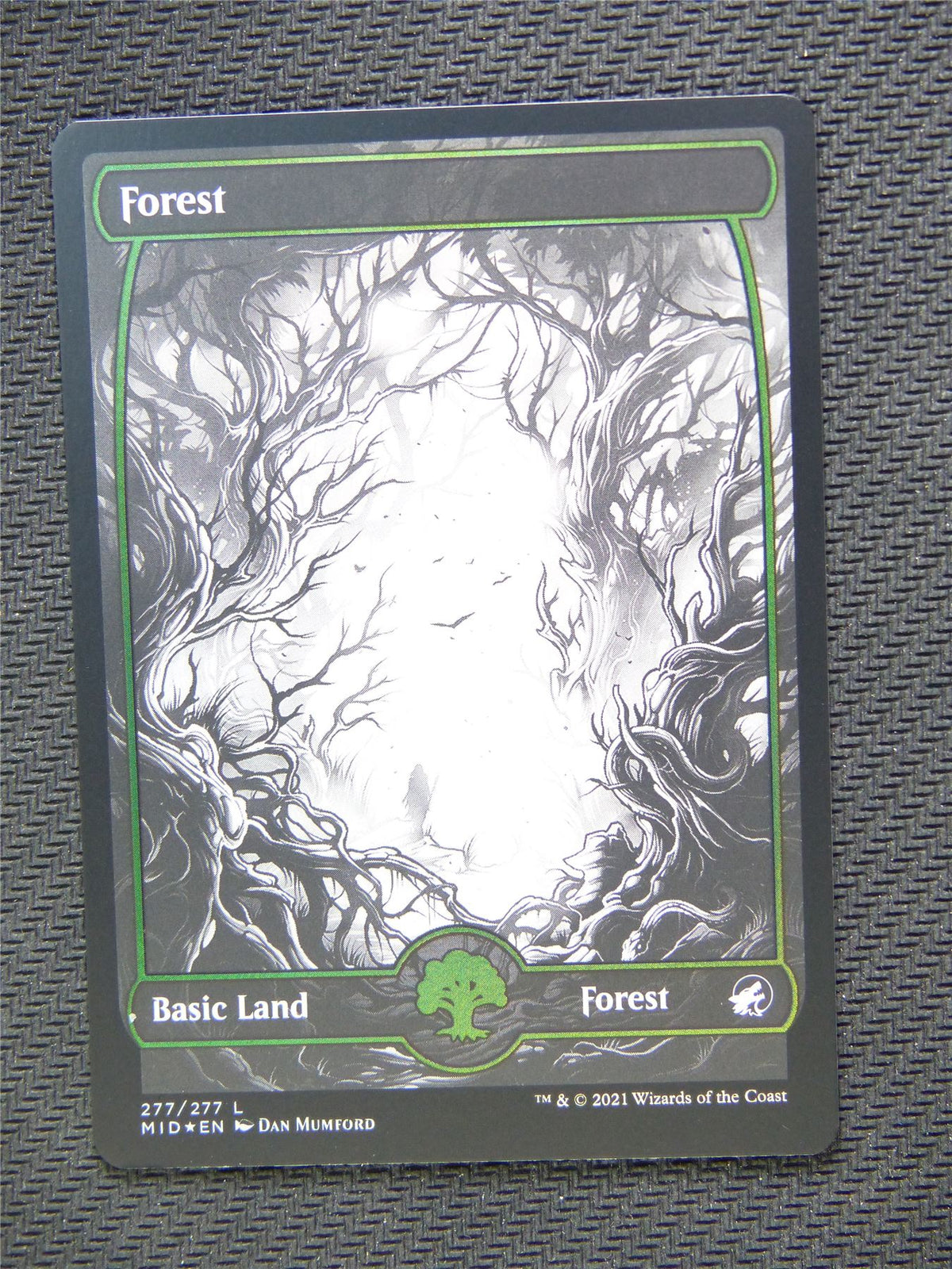 Forest Basic Land Foil - Innistrad - Mtg Card #3QU