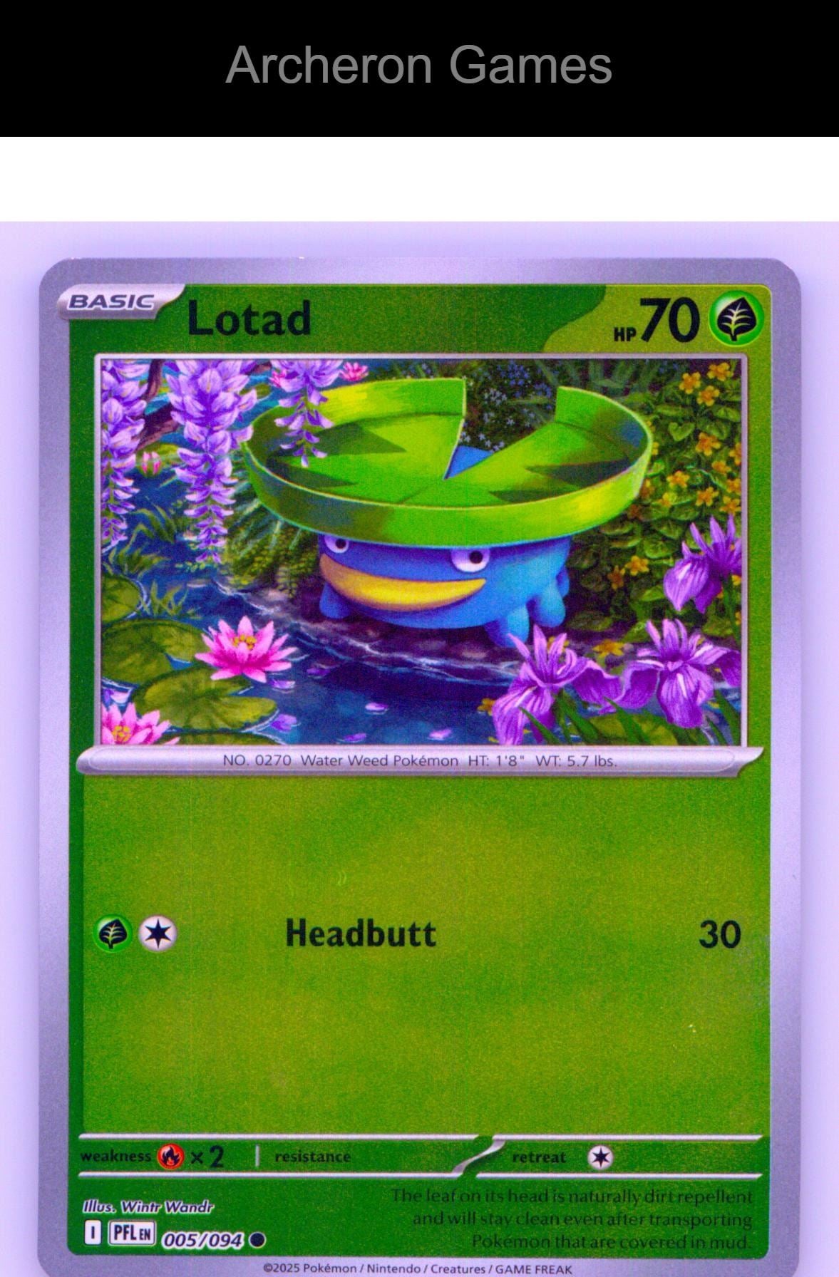 Pokemon Card Lotad PFL 005/094 C Phantasmal Flames Reverse Holo