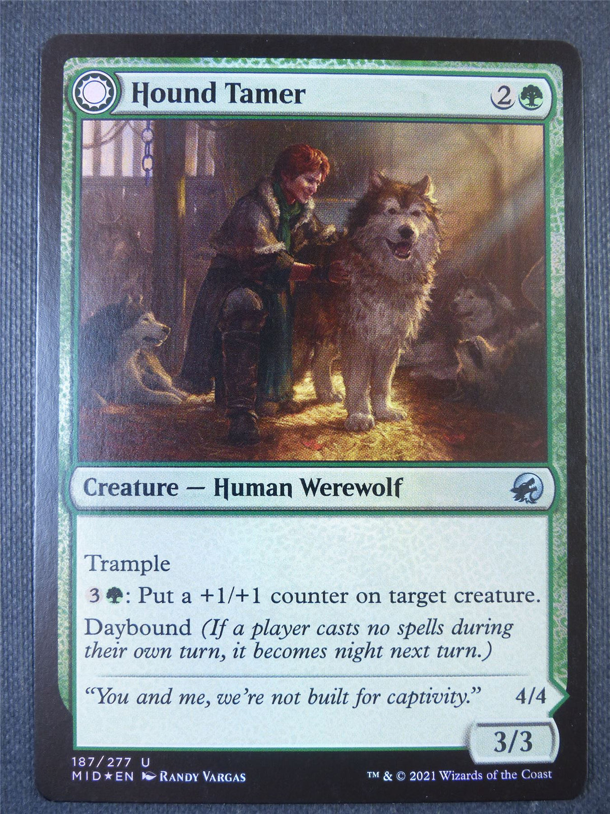 Hound Tamer Foil - Mtg Card #2BJ
