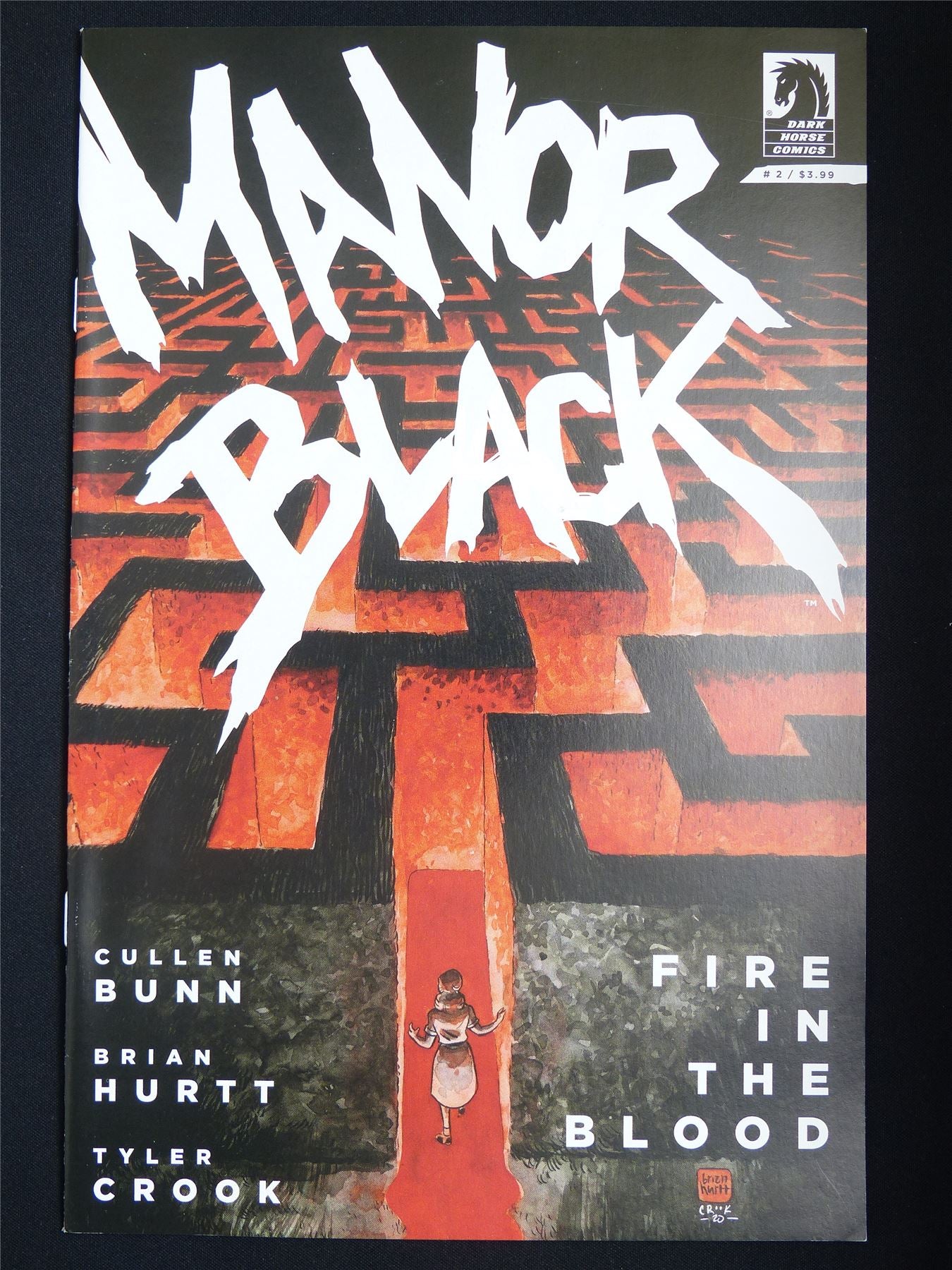 MANOR Black: Fire in the Blood #2 - Dark Horse Comic #6L3