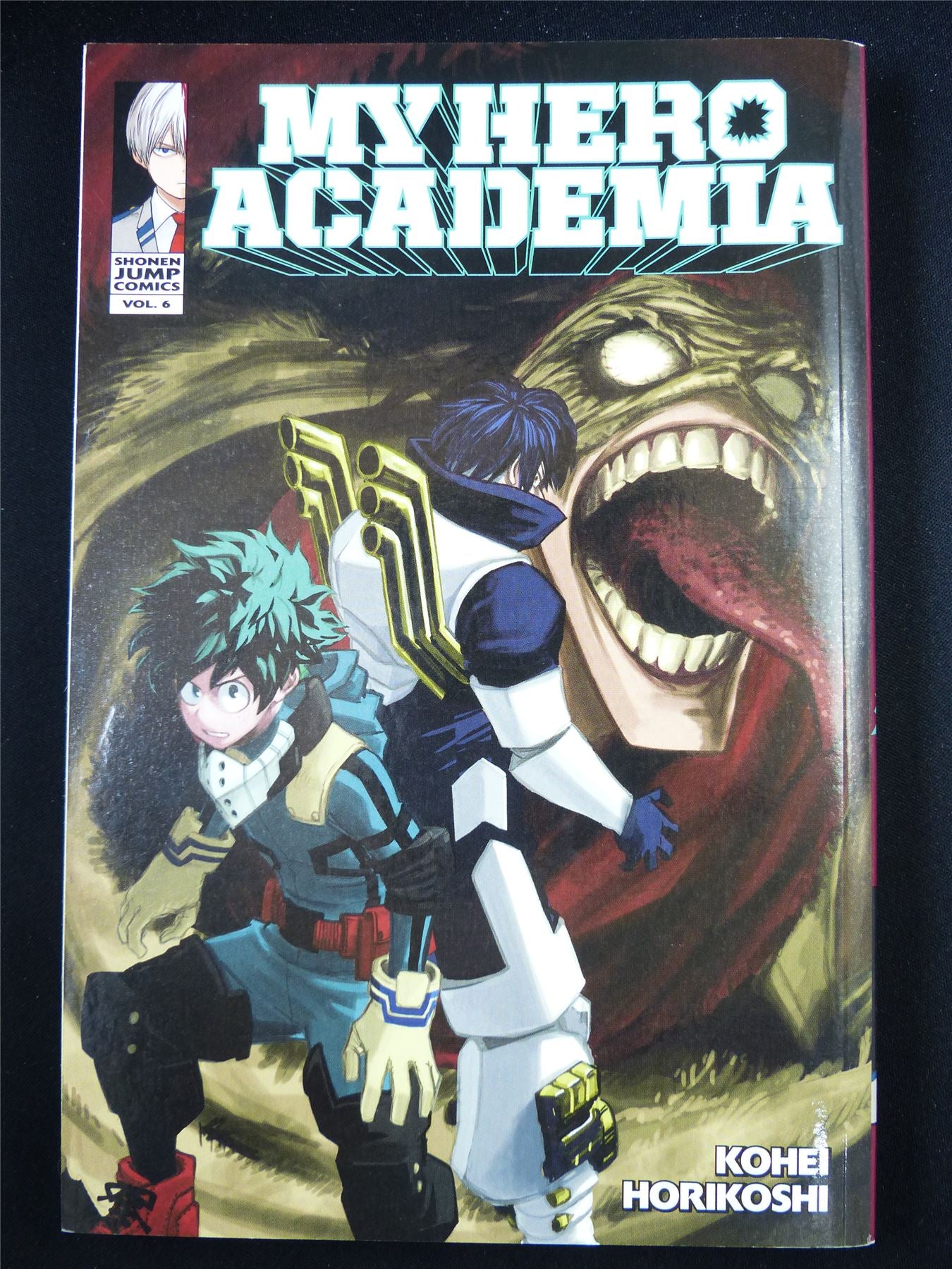 My Hero Academia Manga Volume 6