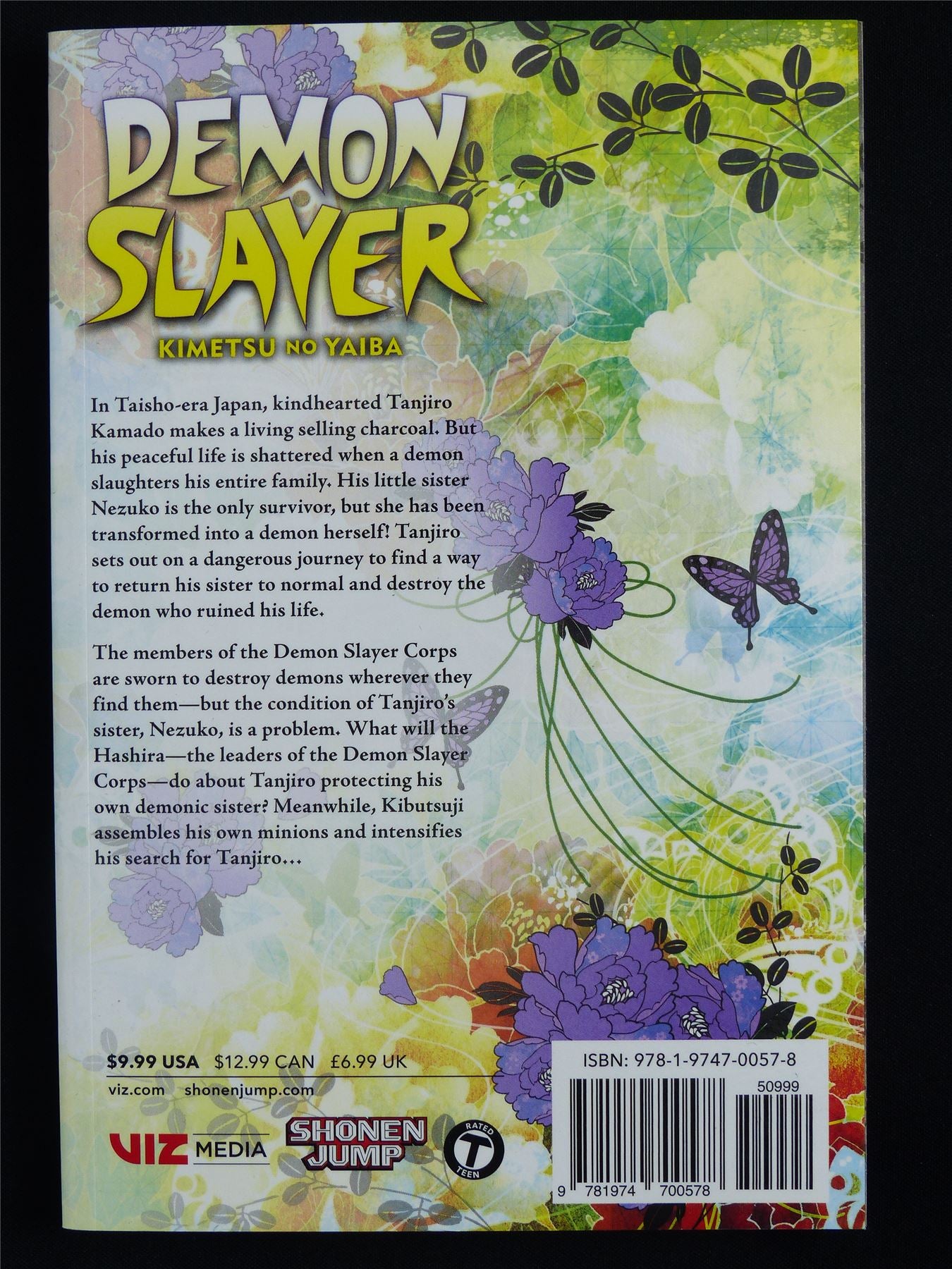 Demon Slayer: Kimetsu no Yaiba volume 6 - Viz Manga #547