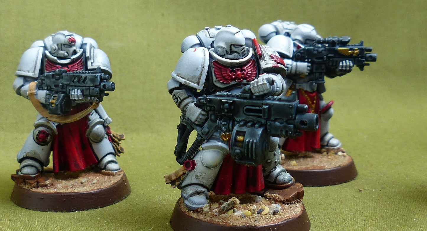 Sternguard Veteran Squad painted - White Scars - Warhammer 40K #4PW