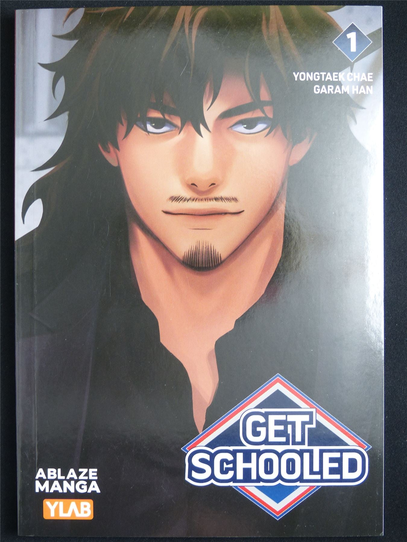 Get Schooled volume 1- Ablaze Manga #2KX