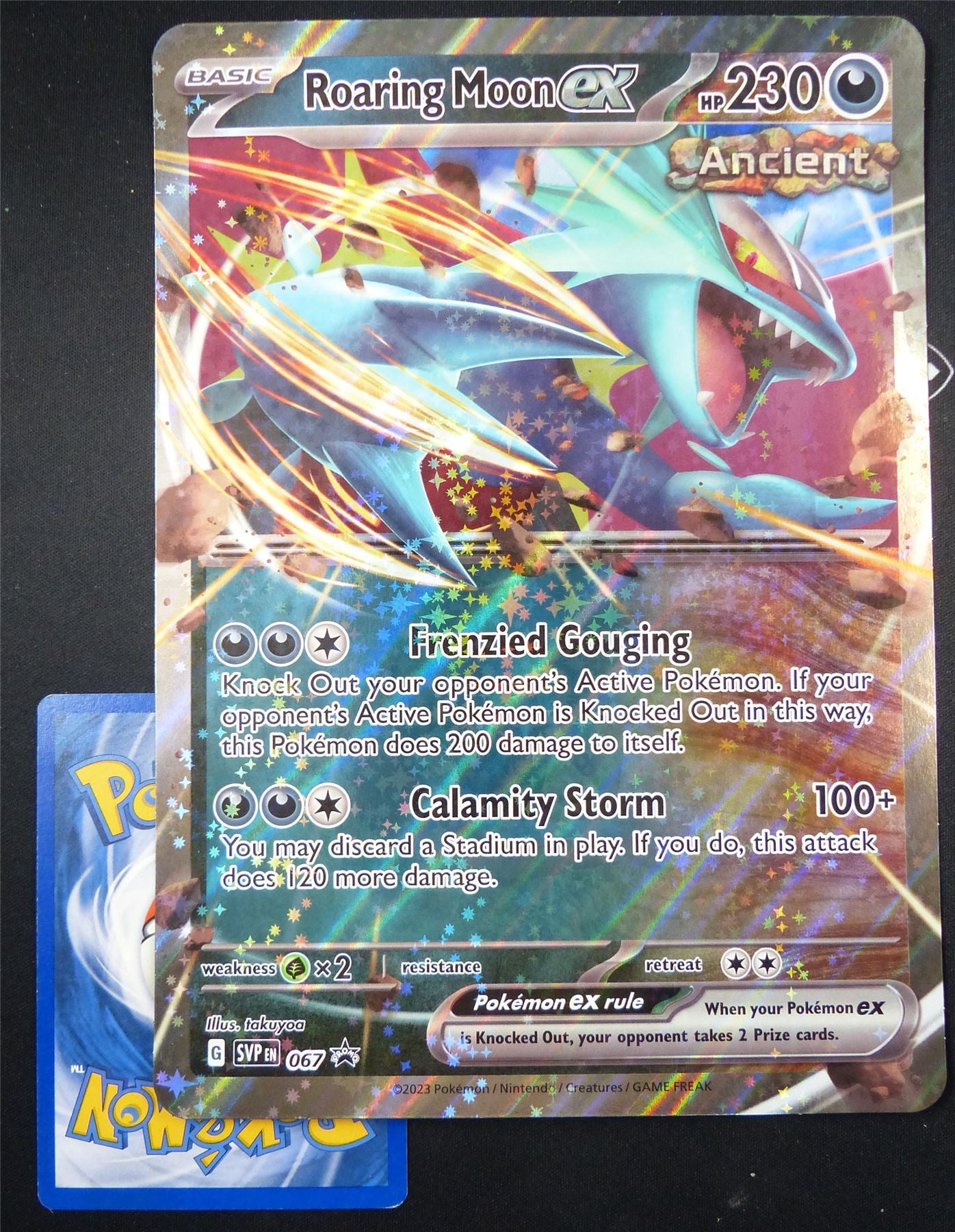 Roaring Moon EX SVP 067 Promo Holo - Jumbo Pokemon Card #5H5 Archeron Roaring Moon EX SVP 067 Promo Holo - Jumbo Pokemon Card #5H5 Archeron