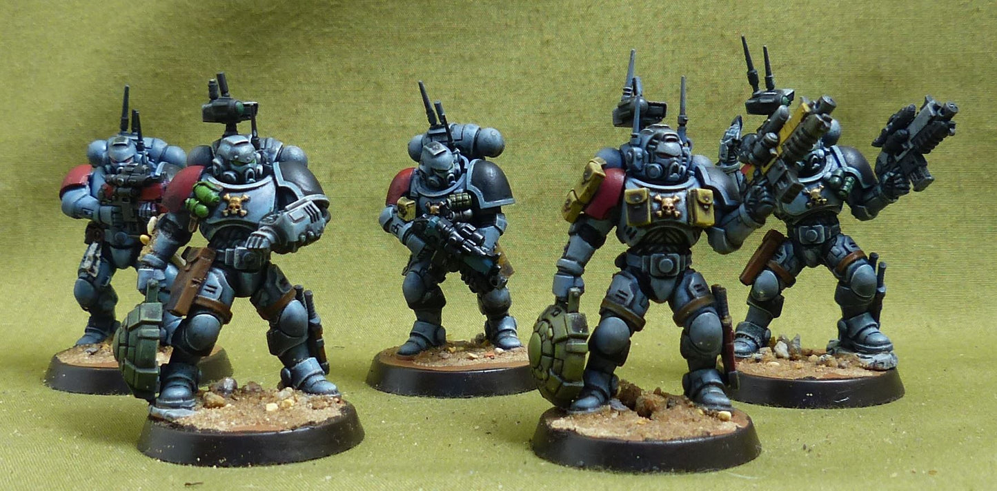 Intercessor Squad set of 5 painted - Space Wolves - Warhammer 40K #5C2