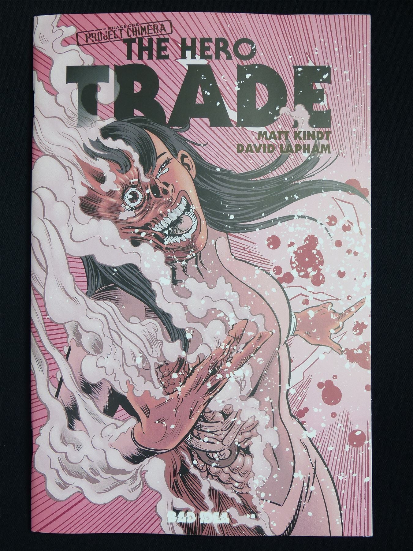 The HERO Trade #1 - Aug 2025 Bad Idea Comic #2MG