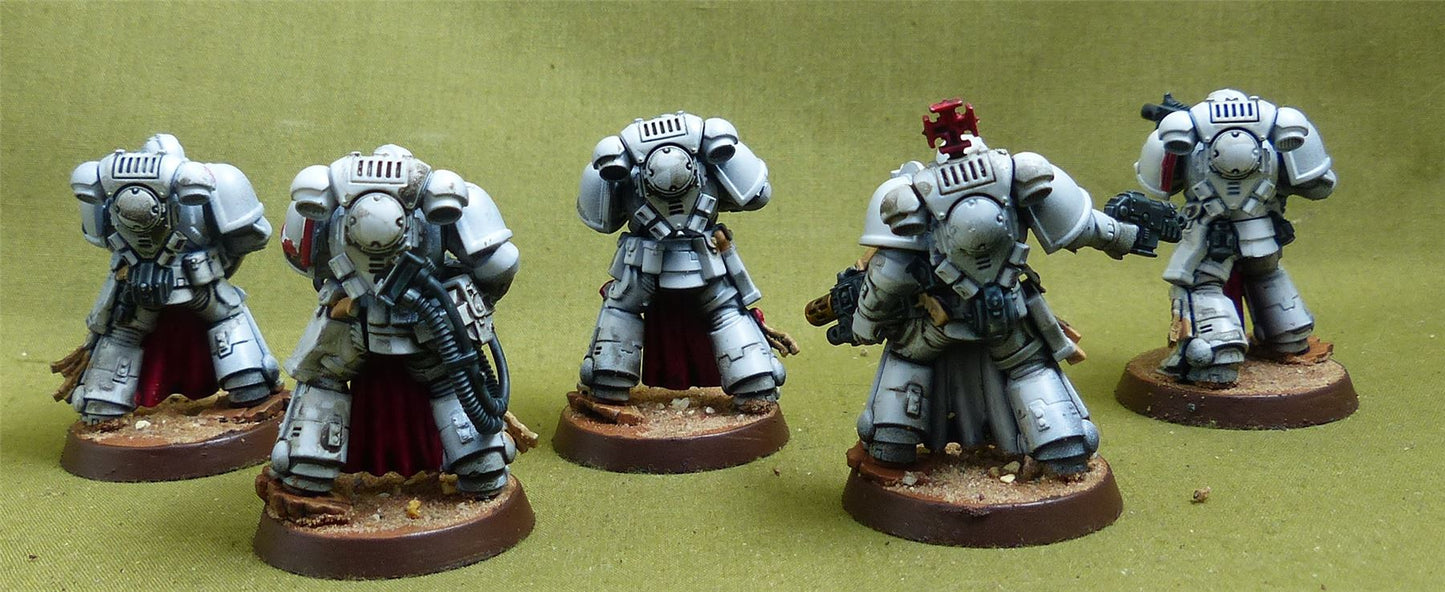 Sternguard Veteran Squad painted - White Scars - Warhammer 40K #4PW