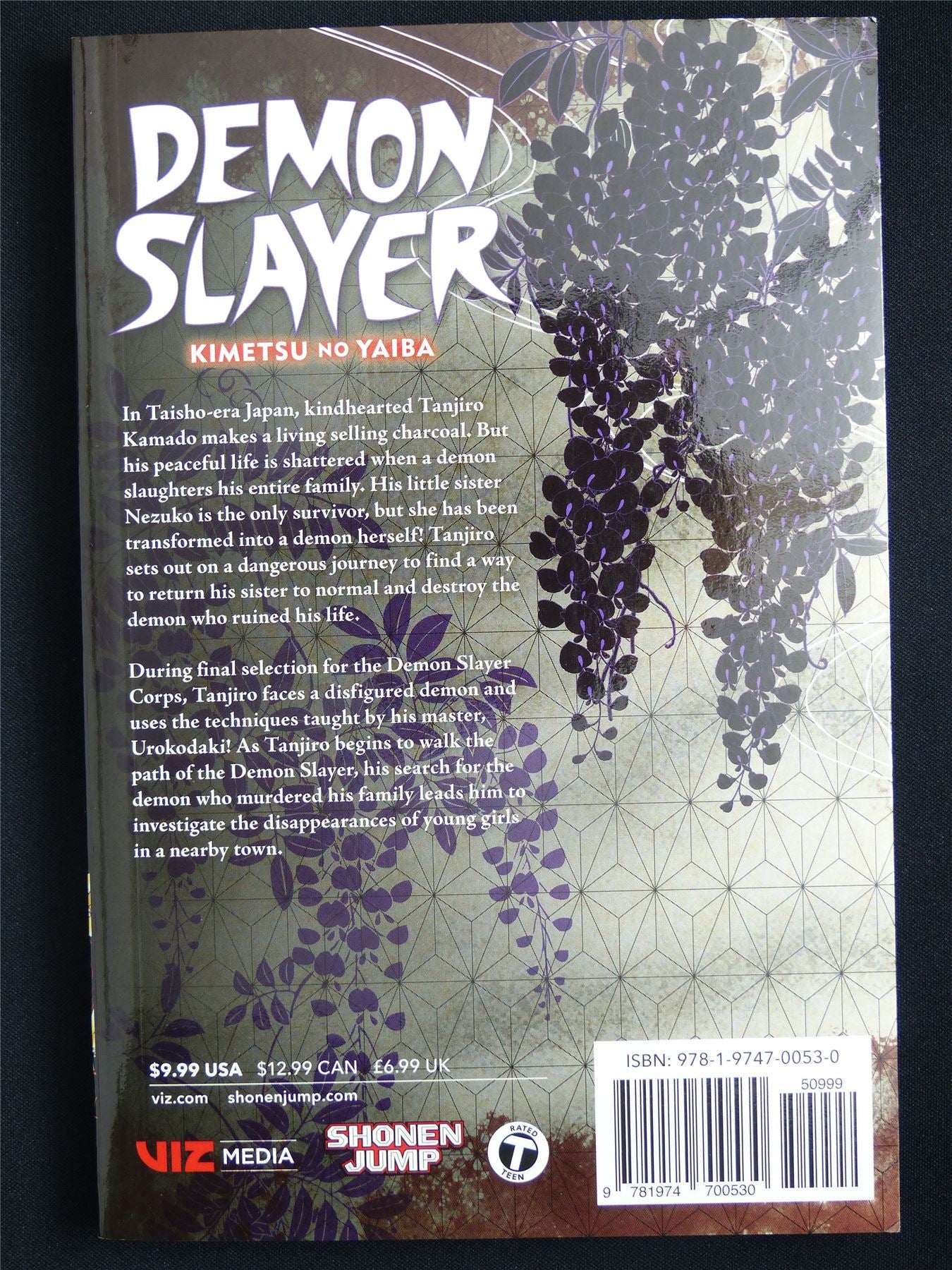 Demon Slayer: Kimetsu no Yaiba volume 2 - Viz Manga #543