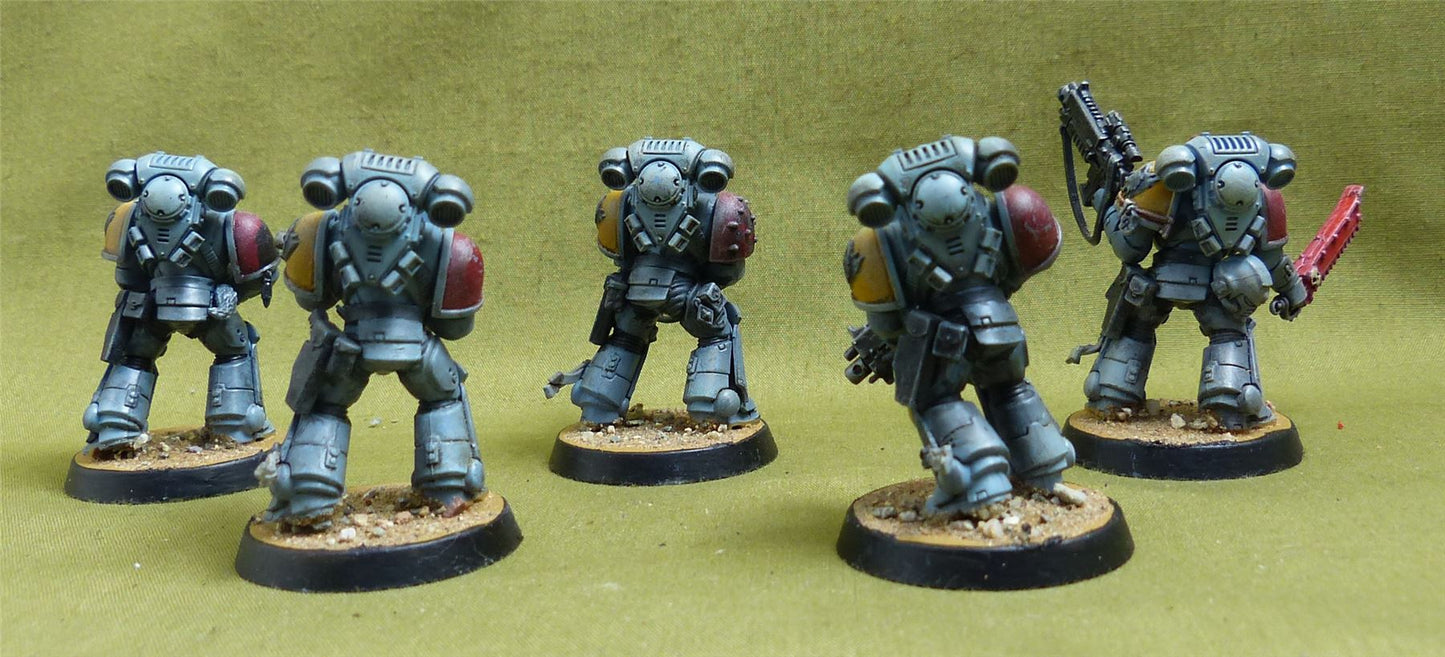 Primaris Intercessors painted - Space Wolves - Warhammer 40K #5AG