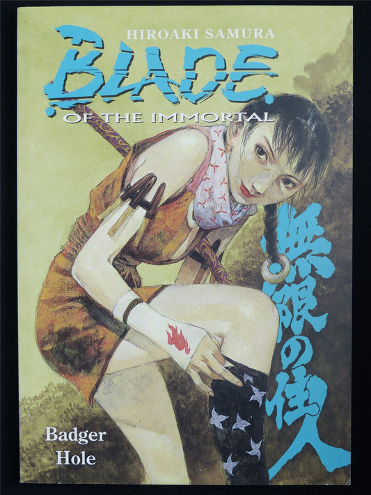 Blade of the Immortal vol 19: Badger Hole - Dark Horse Manga #557