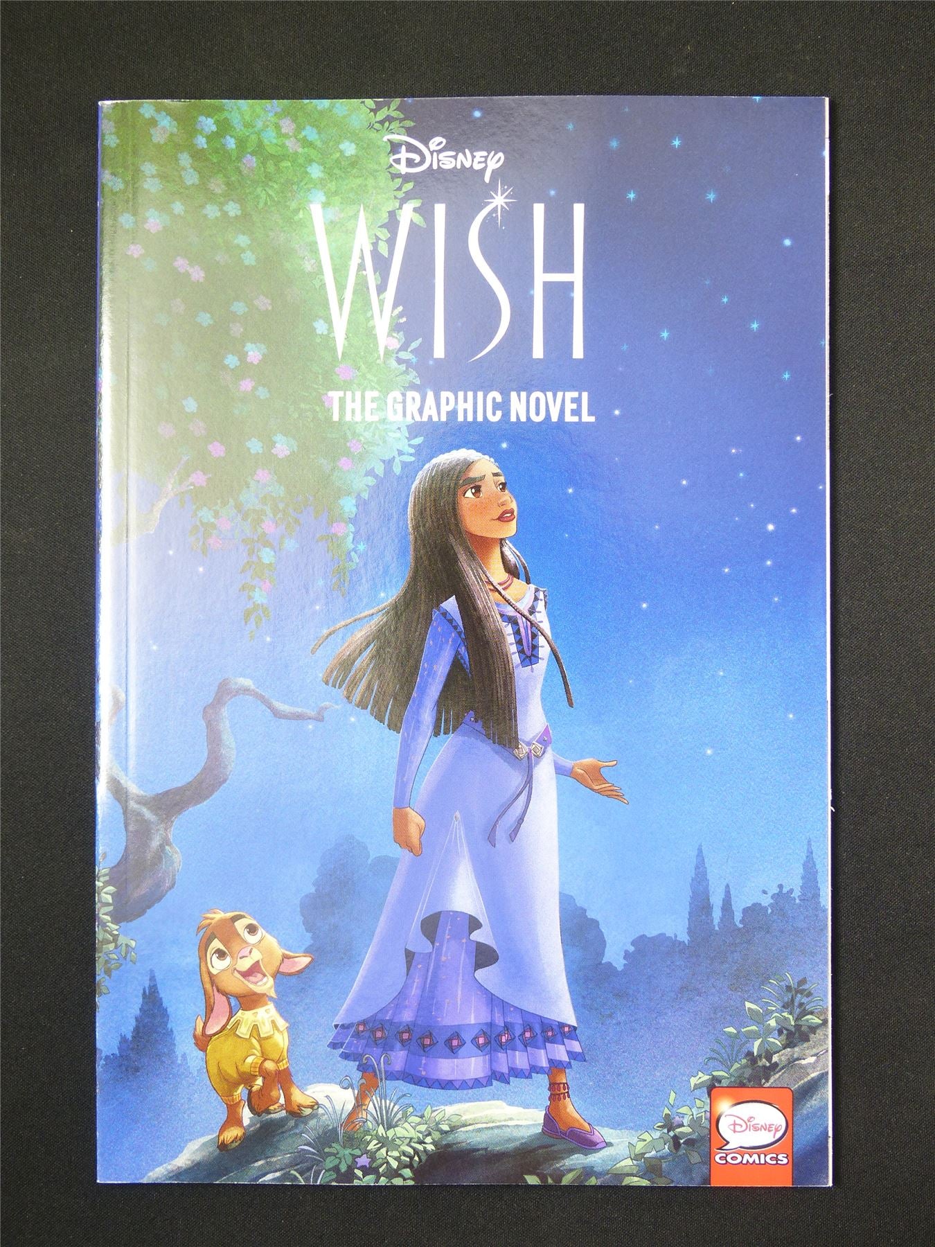 Disney's Wish The Graphic Novel - Titan Graphic Softback #5T