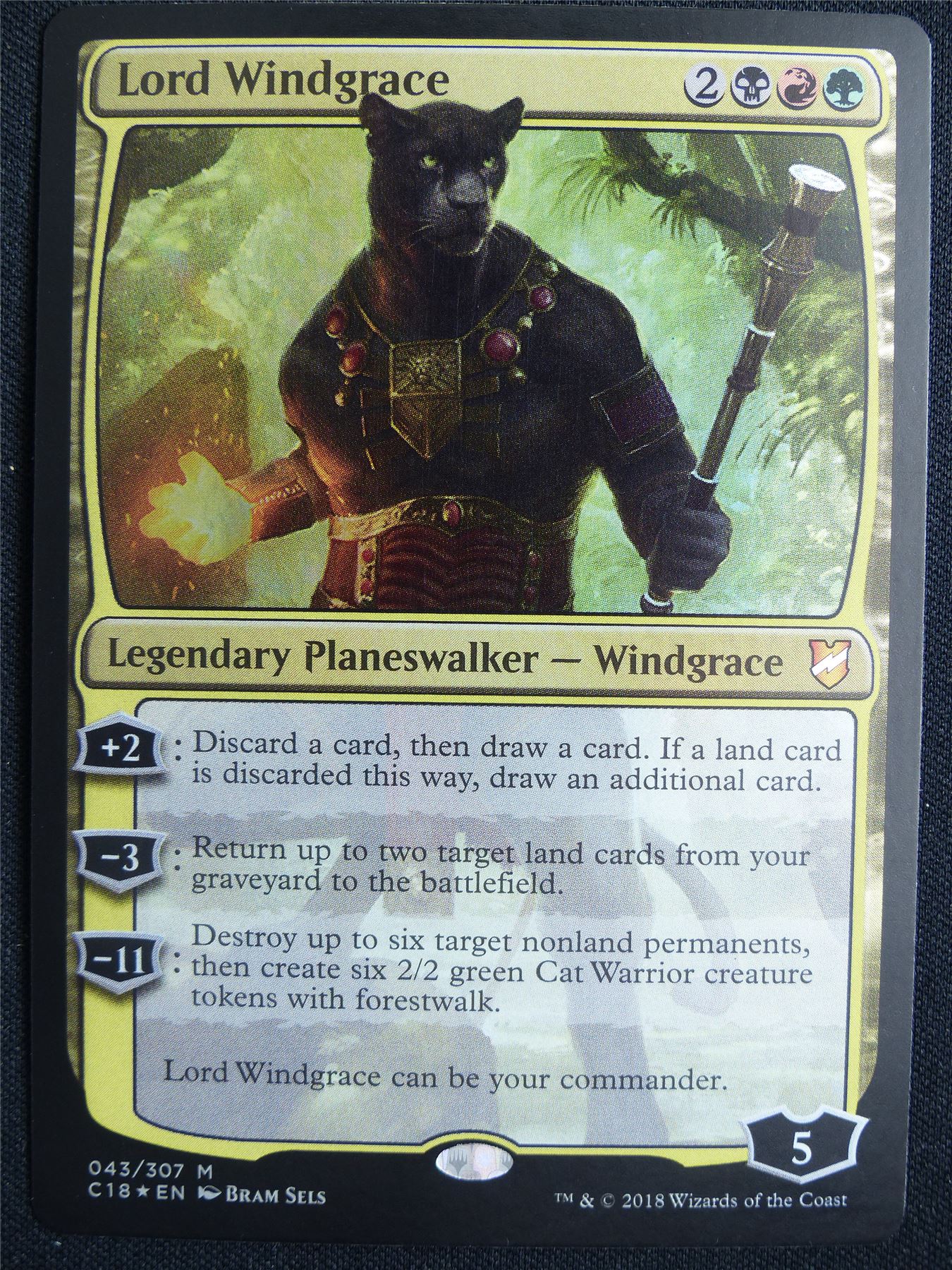Lord Windgrace Foil - C18 - Mtg Card #5LV