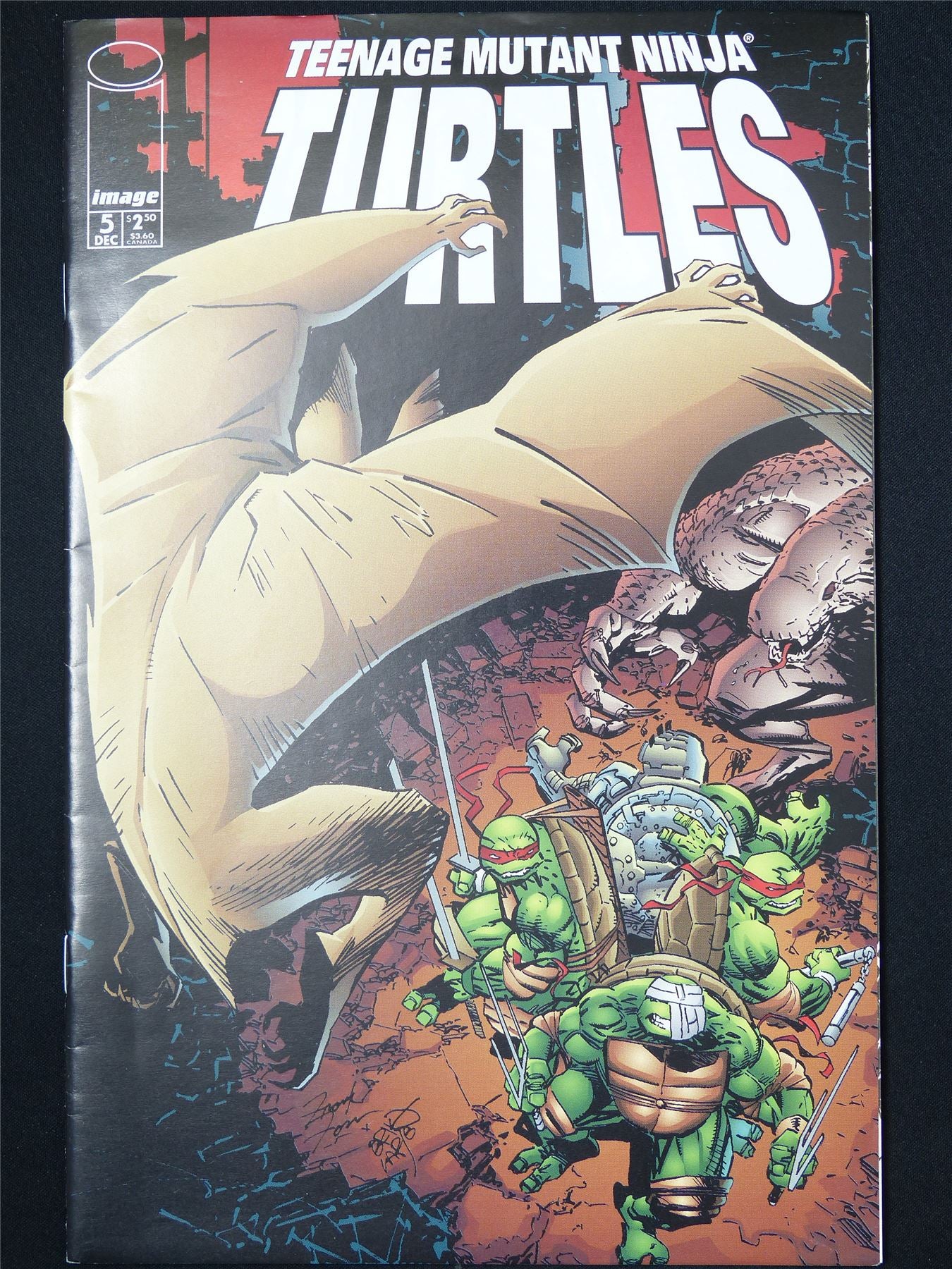 TEENAGE Mutant Ninja Turtles #5 - B&B Image Comic #1A2