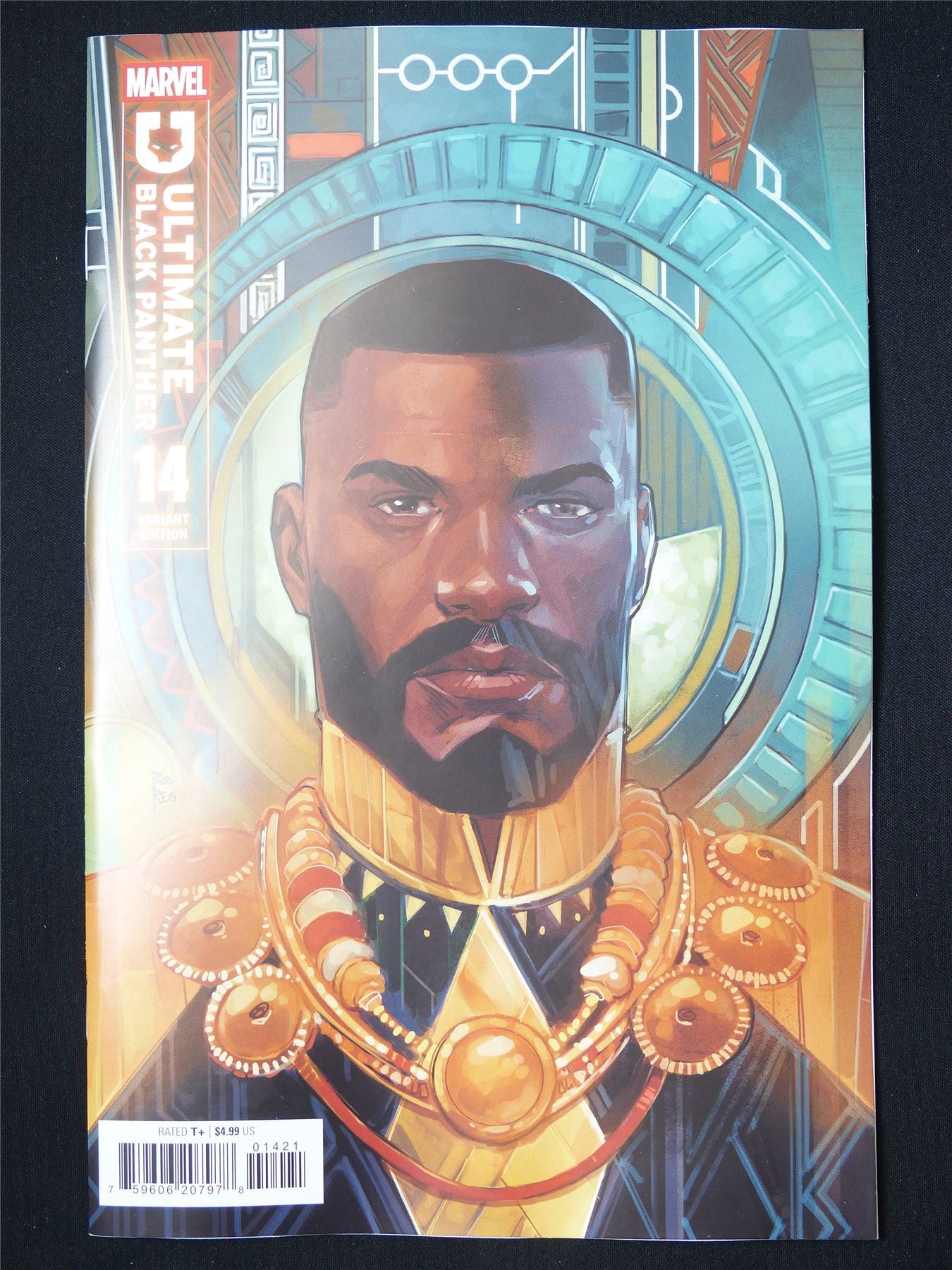 Ultimate BLACK Panther #14 Variant - B&B May 2025 Marvel Comic #1PB