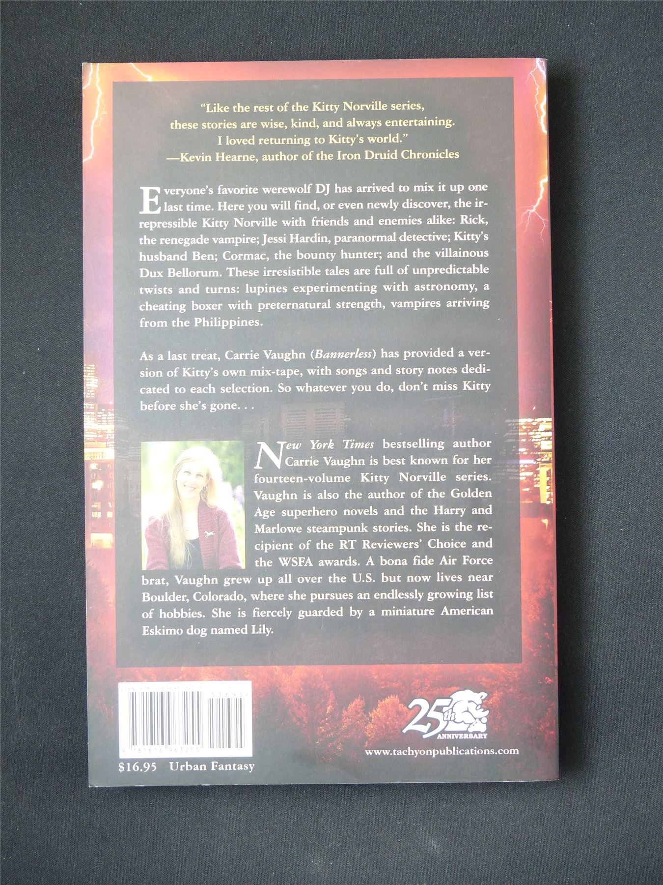 Kitty's Mix-Tape - Novel Softback #137