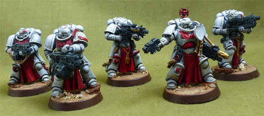 Sternguard Veteran Squad painted - White Scars - Warhammer 40K #4PW