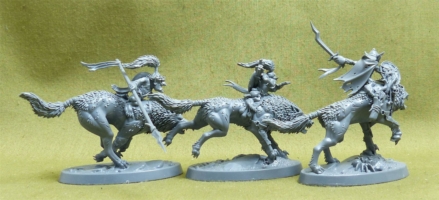 Snarlboss and Wolfgit Retinue - Gloomspite Gitz - Warhammer AoS #2QK