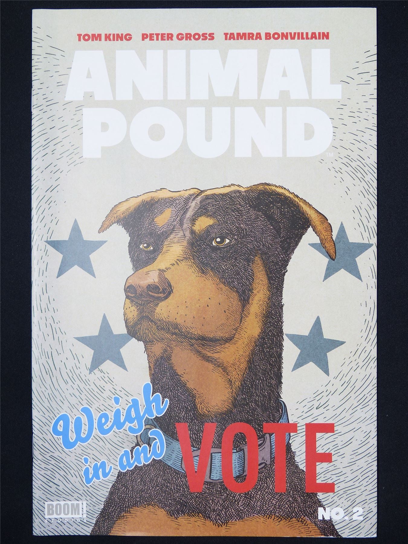 ANIMAL Pound #2 - B&B Boom! Comic #8LW