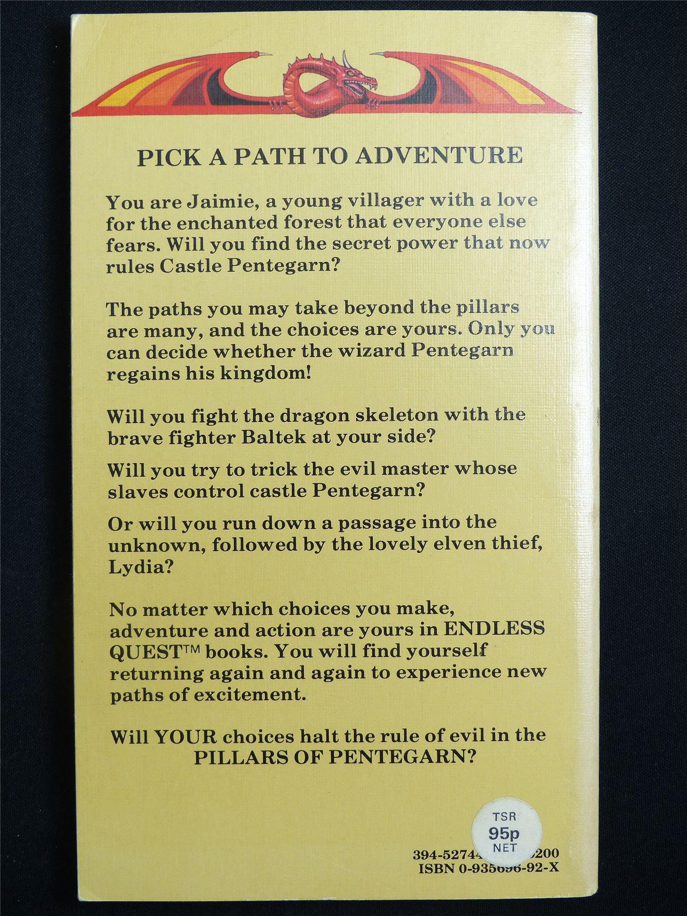 D&D Adventure Book: Pillars of Pentegarn Endless Quest - Vintage Novel Softback #LR