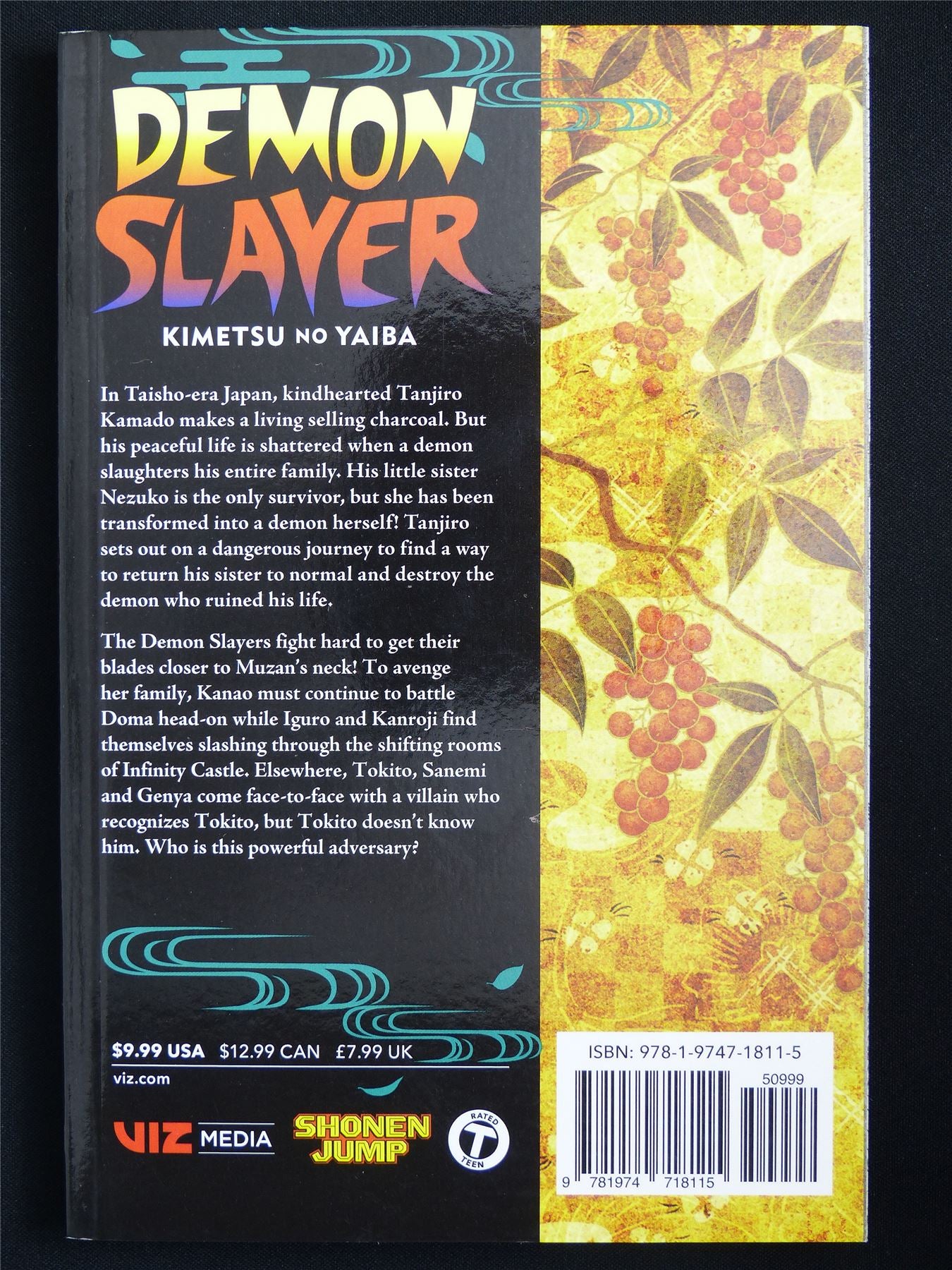 Demon Slayer: Kimetsu no Yaiba volume 19 - Viz Manga #54K