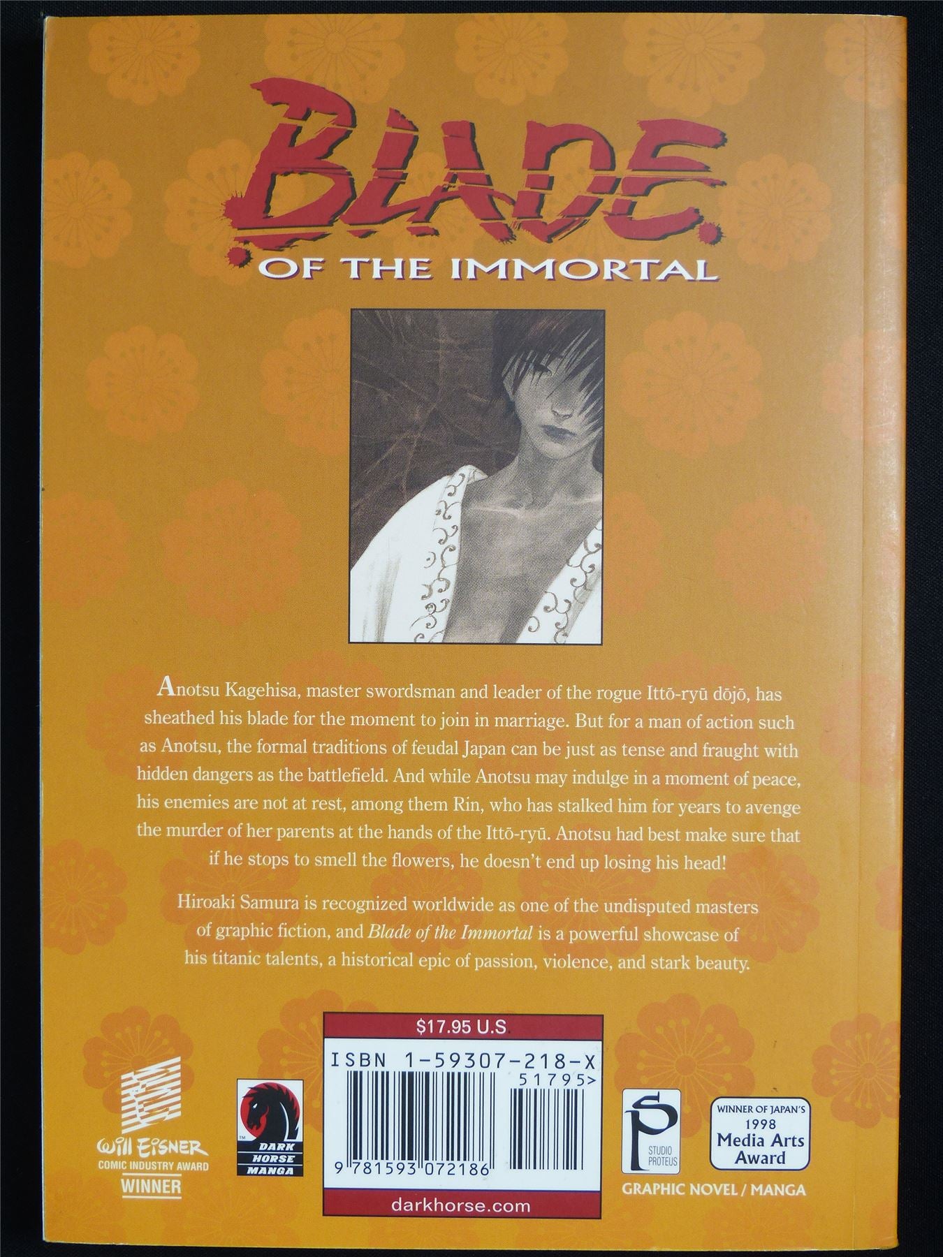 Blade of the Immortal vol 13: Mirror of the Soul - Dark Horse Manga #551