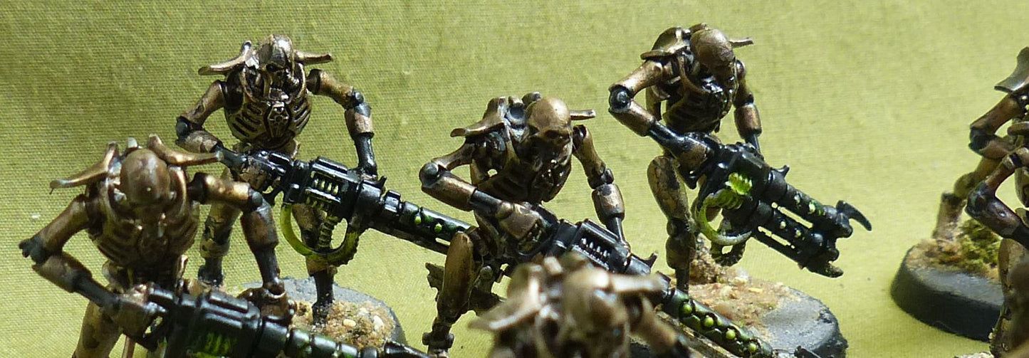 Warriors Painted - Necrons - Warhammer 40K #1R1